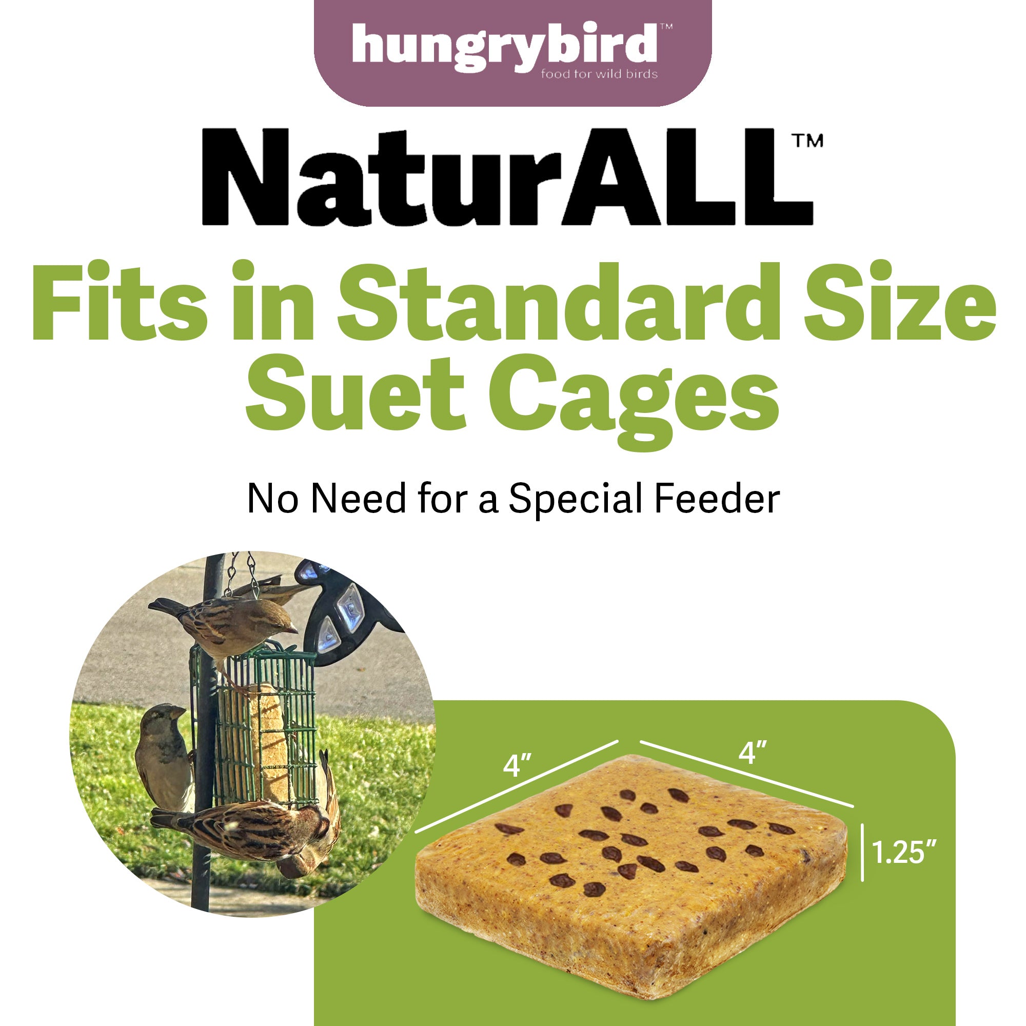 Hungrybird NaturAll Non-GMO, High-Protein Berry Suet Cake for Outside Wild Bird Feeders