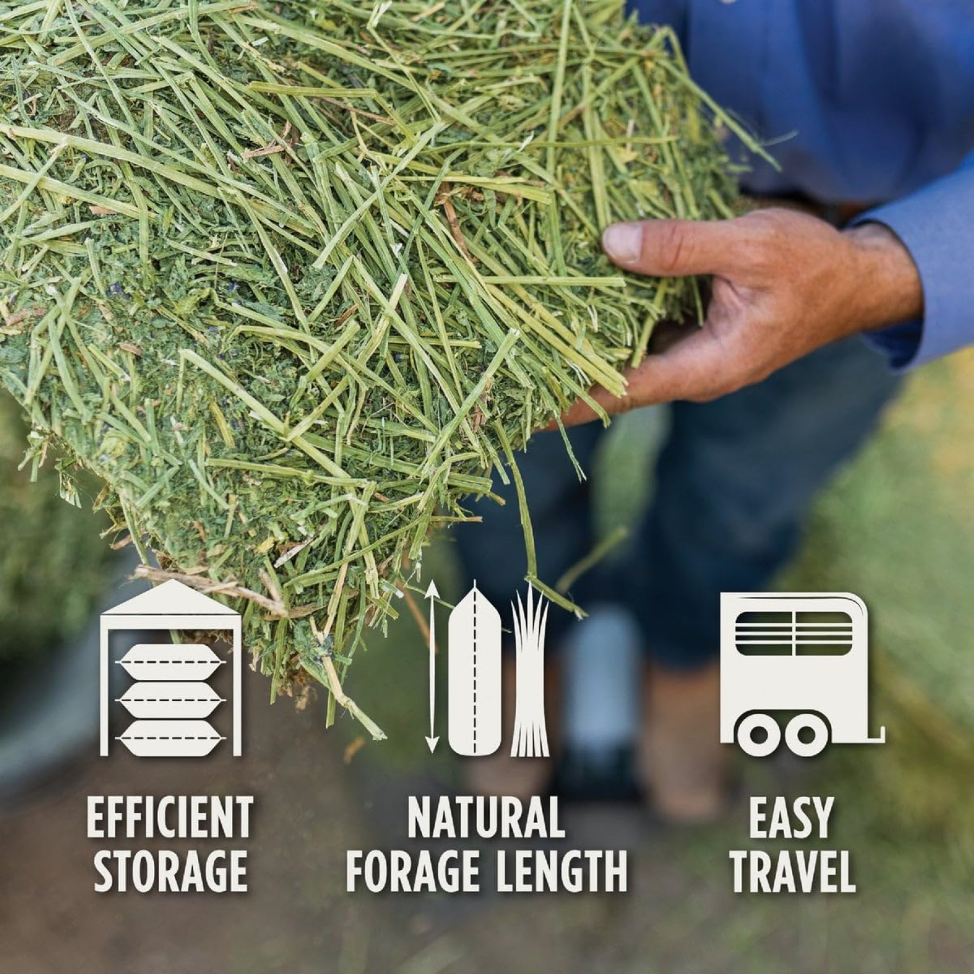 Standlee Premium Western Forage, Alfalfa Grab & Go Compressed Bale, 50lb