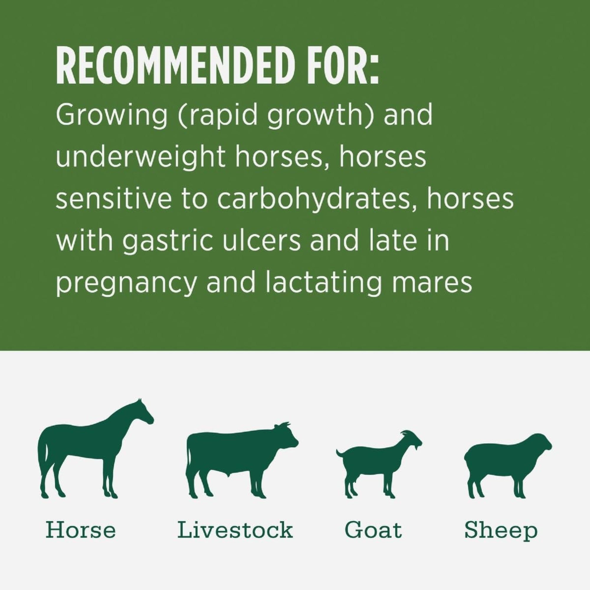 Standlee Premium Western Forage, Alfalfa Grab & Go Compressed Bale, 50lb