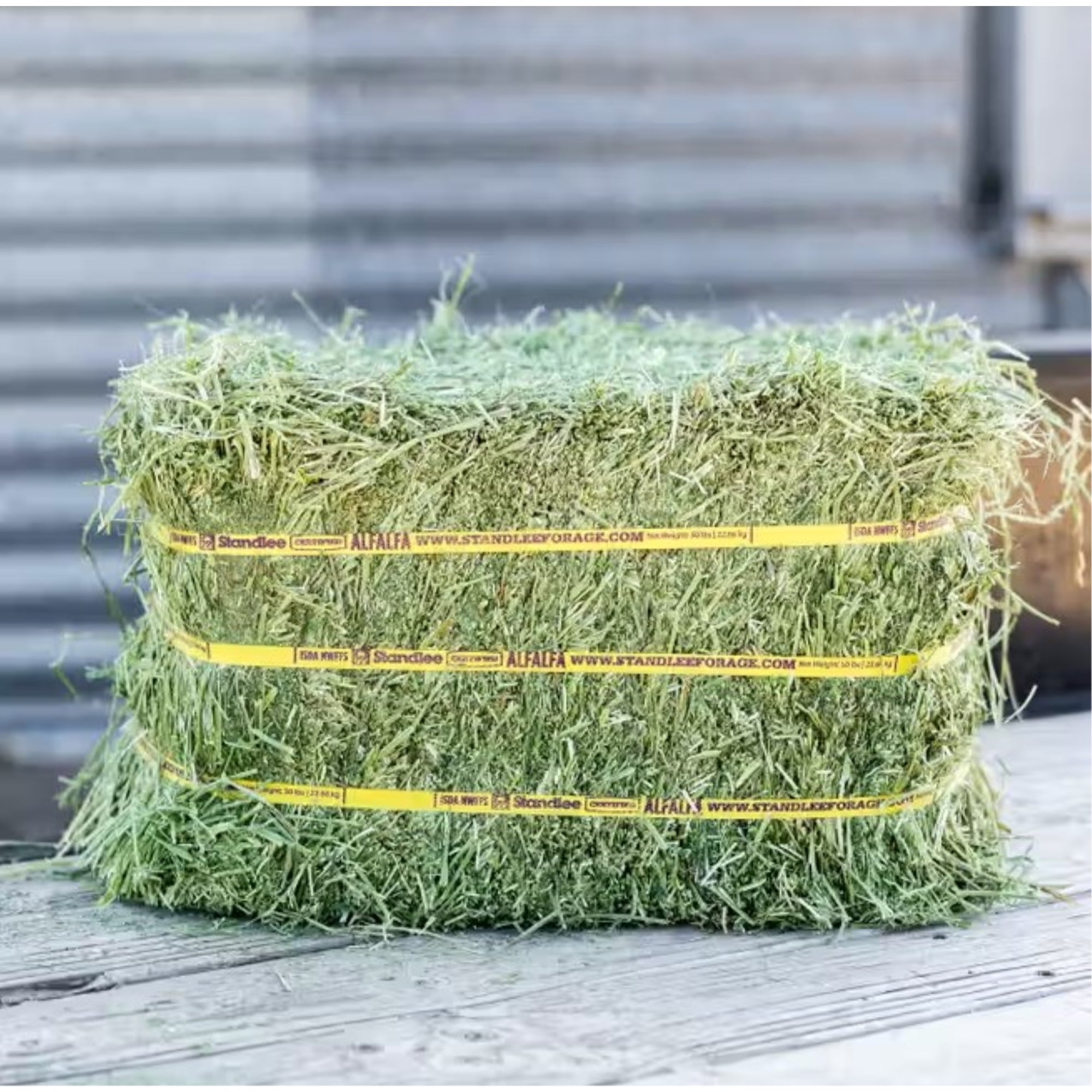 Standlee Premium Western Forage, Certified Alfalfa Grab & Go Compressed Bale, 50lb