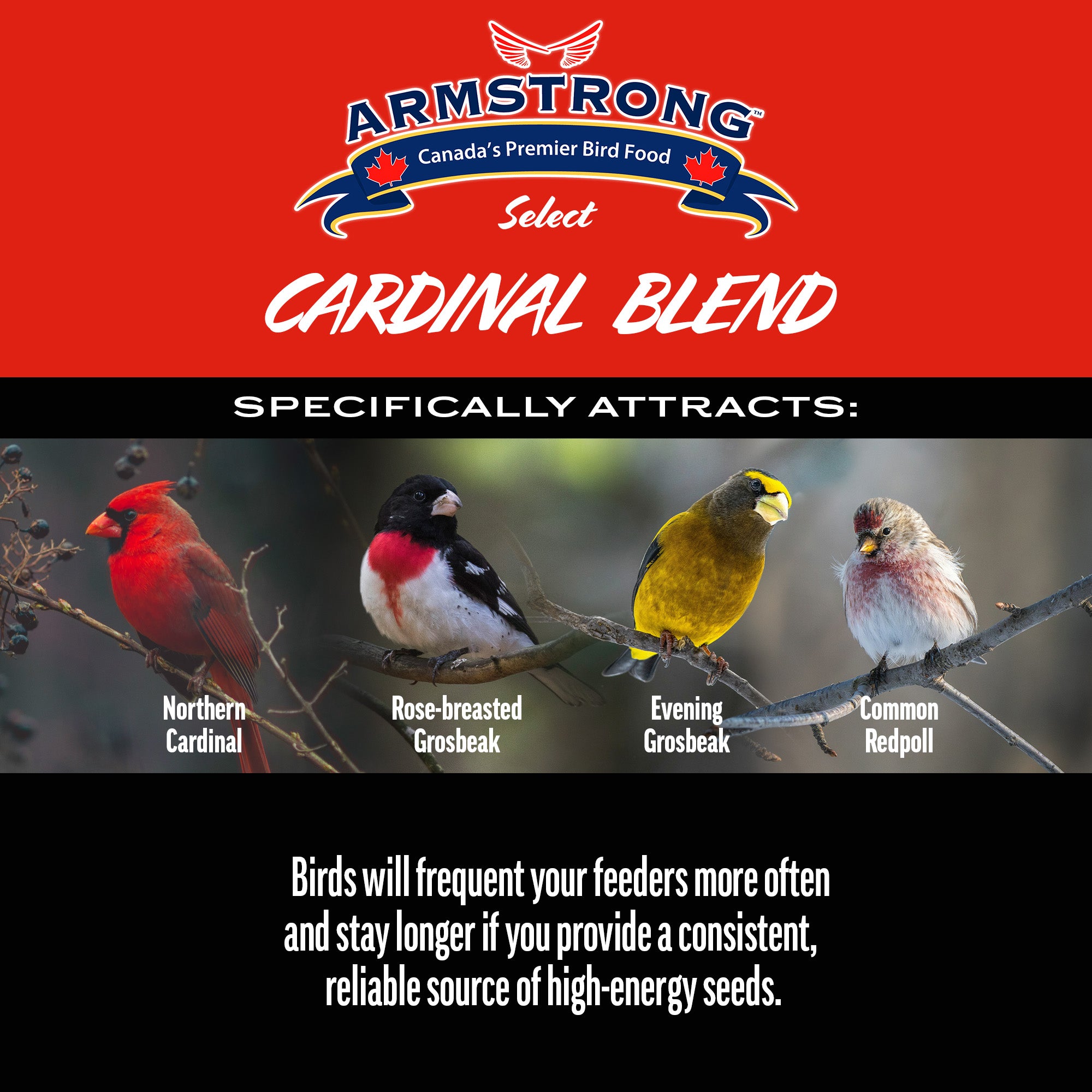 Armstrong Wild Bird Select Cardinal Blend, 4lbs