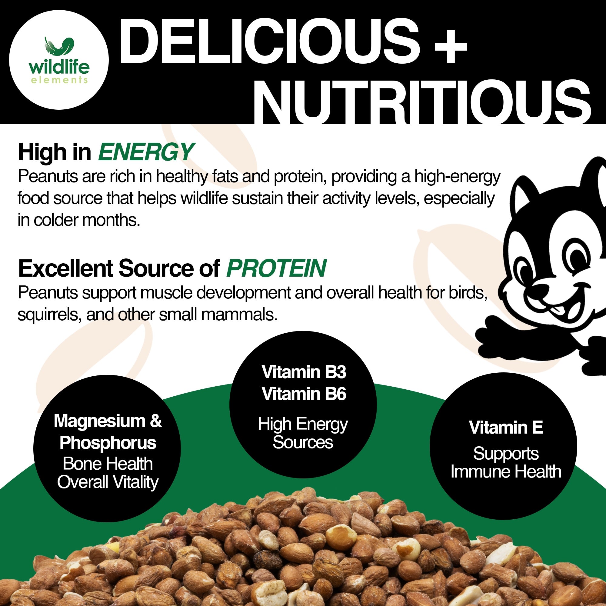 Wildlife Elements Peanut Party Raw Shelled Peanuts – Natural, Nutrient-Rich Wildlife Food for Birds, Squirrels & Waterfowl, 25lb