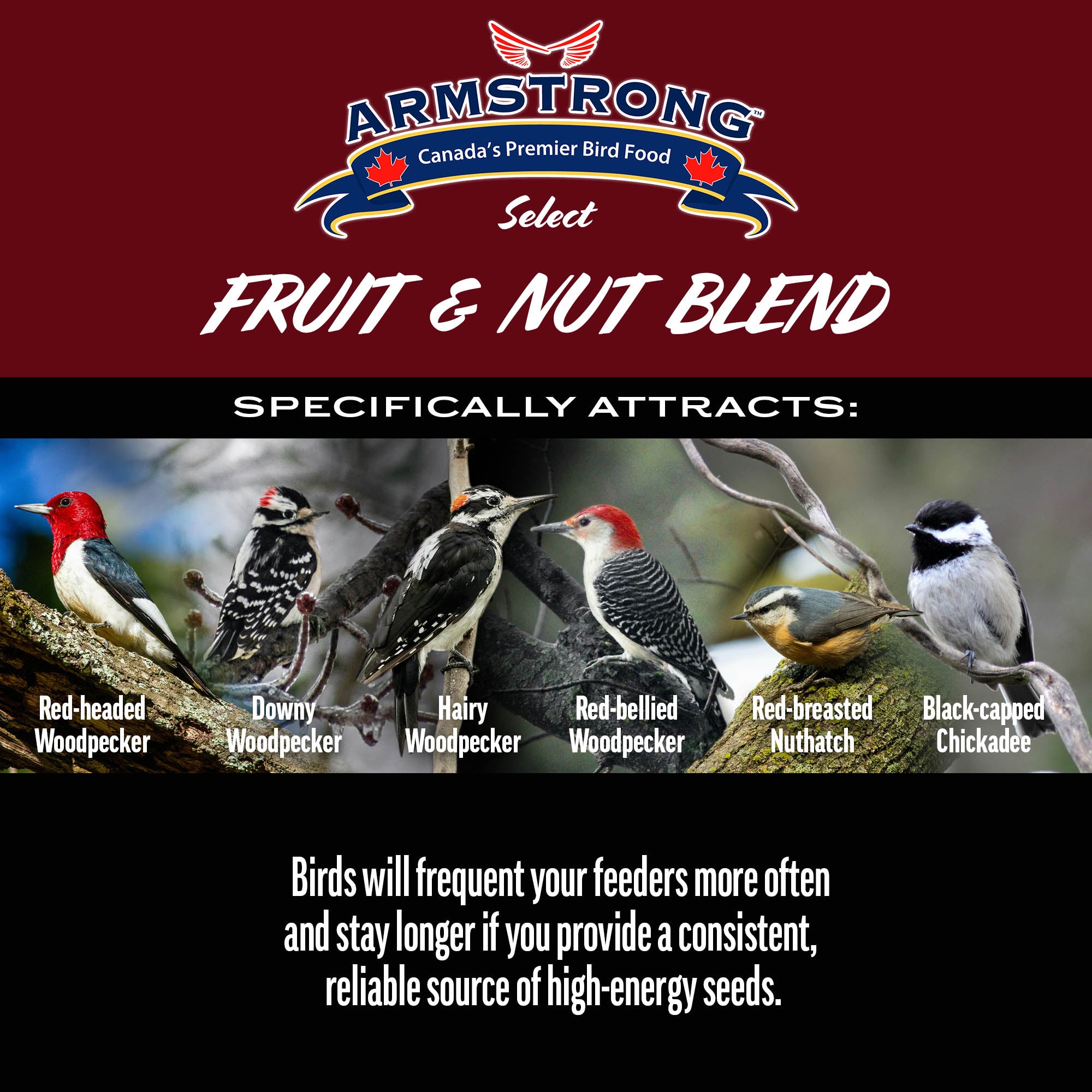 Armstrong Wild Bird Select Fruit & Nut Blend, 4lbs