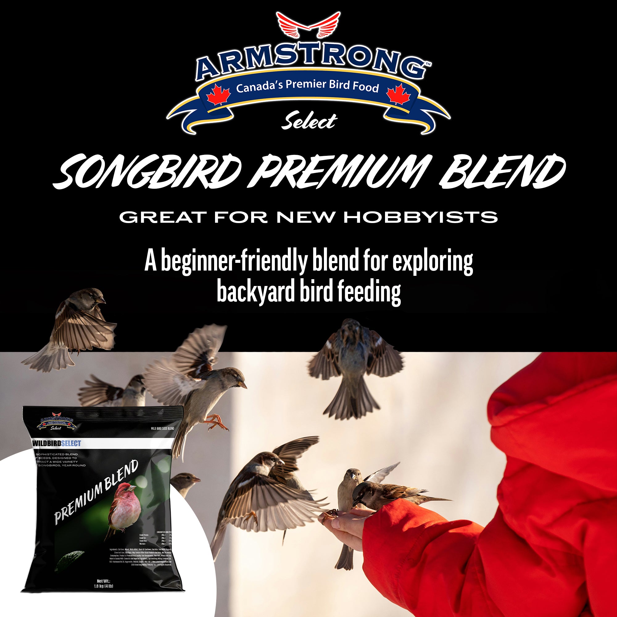 Armstrong Wild Bird Select Songbird Premium Blend, 4lbs