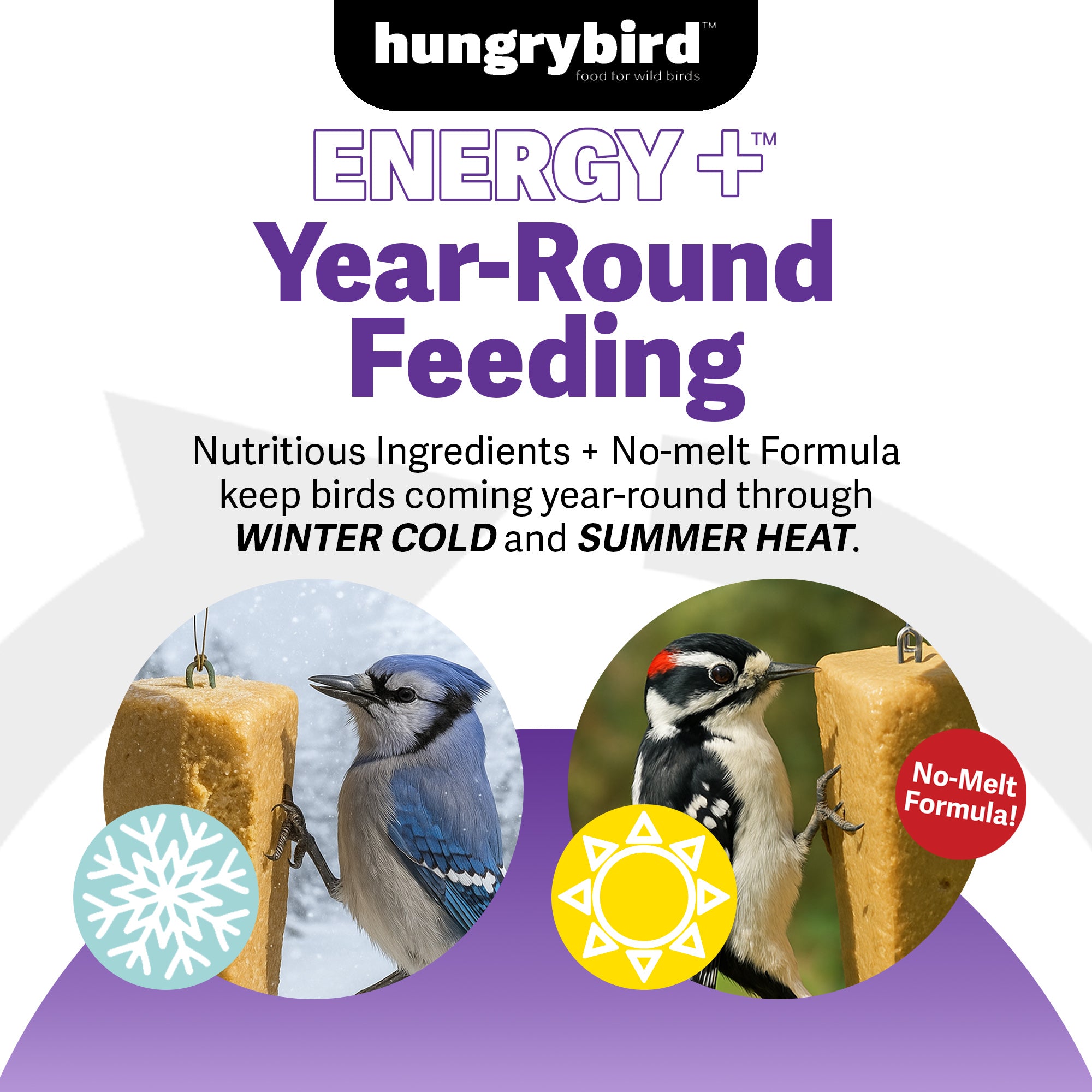 Hungrybird Energy+ High-Protein Suet Bar with Blended Berry Filling