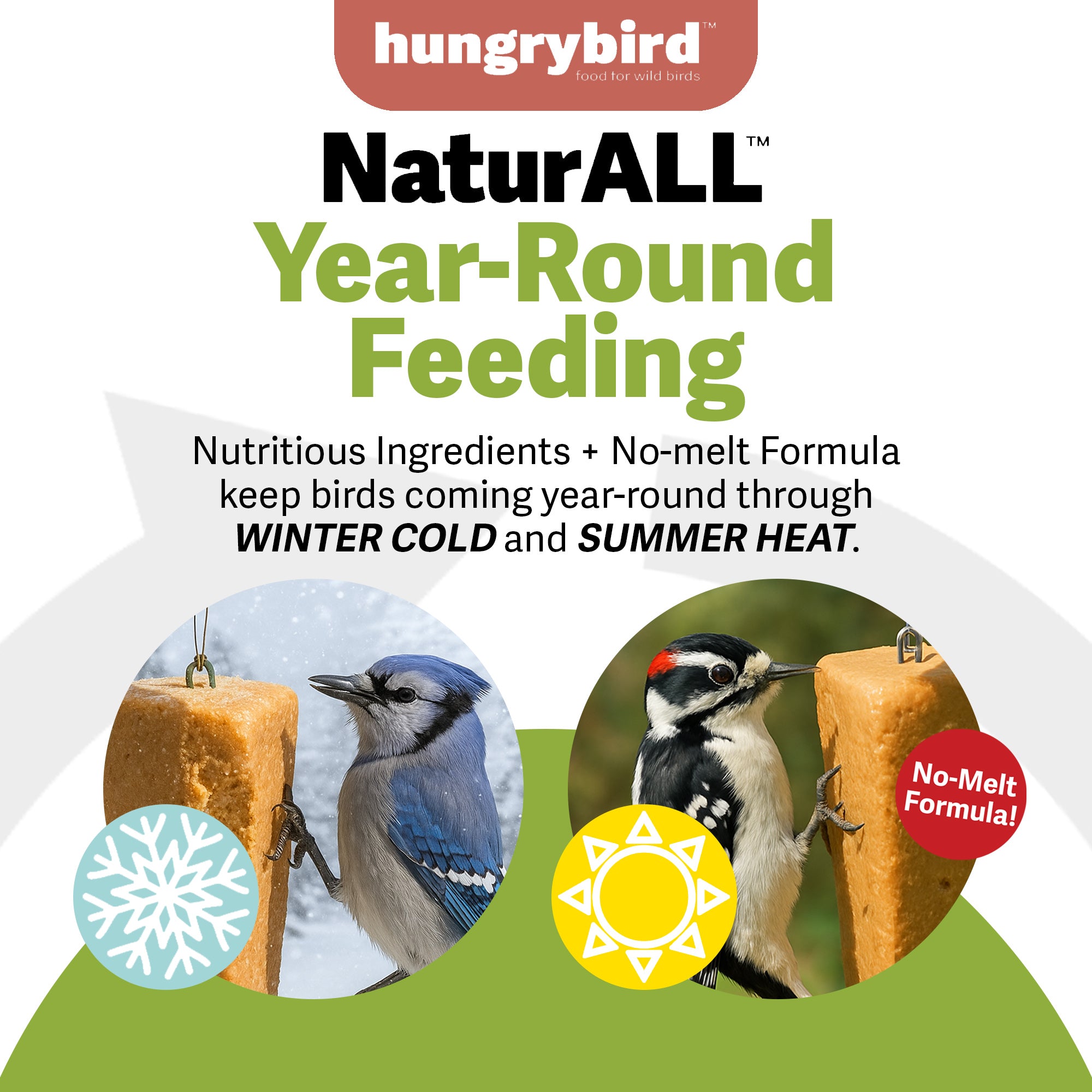 Hungrybird NaturAll Non-GMO, High-Protein Suet Bar with Hot Pepper Filling