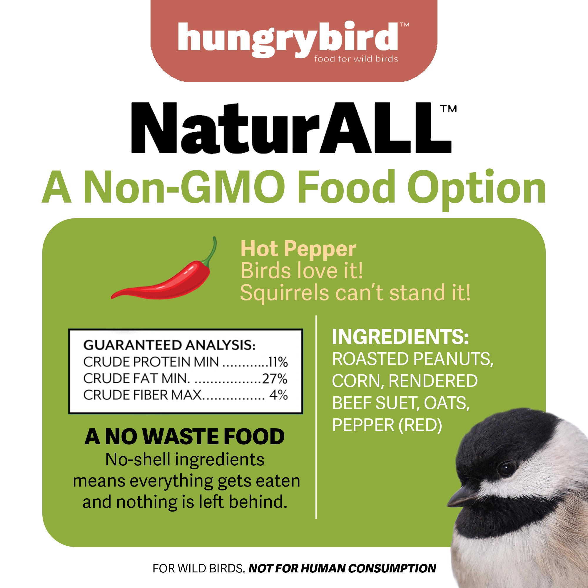 Hungrybird NaturAll Non-GMO, High-Protein Suet Bar with Hot Pepper Filling