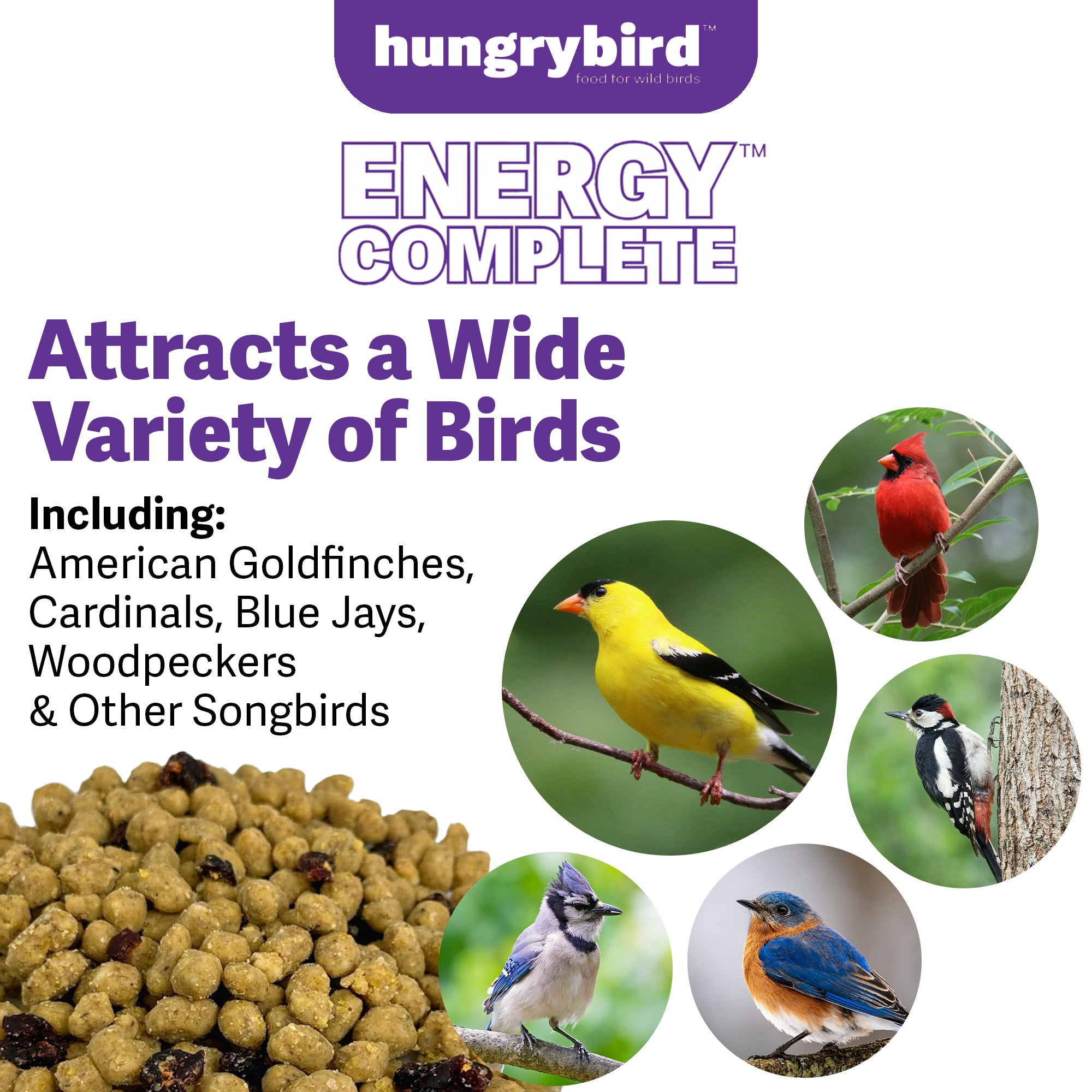 Hungrybird Energy Complete, 3lb - High-Protein Blended Berry Suet Bites