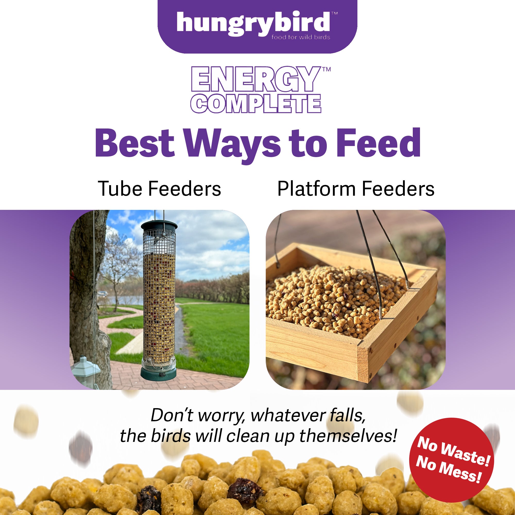 Hungrybird Energy Complete, 3lb - High-Protein Blended Berry Suet Bites