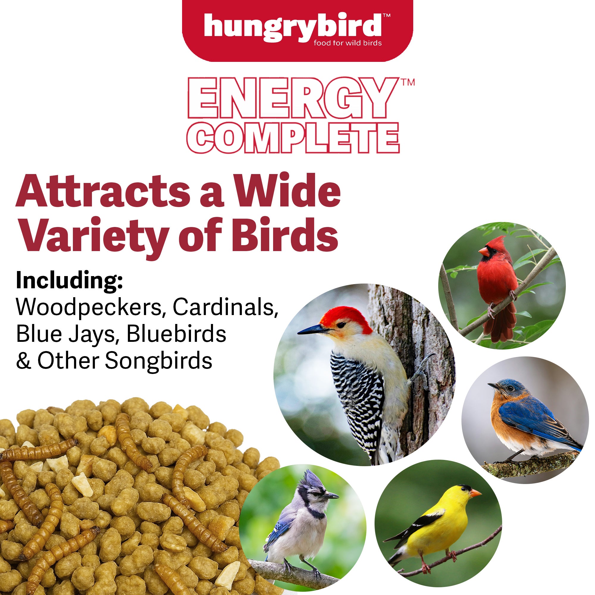 Hungrybird Energy Complete, 3lb - High-Protein Mealworm Suet Bites