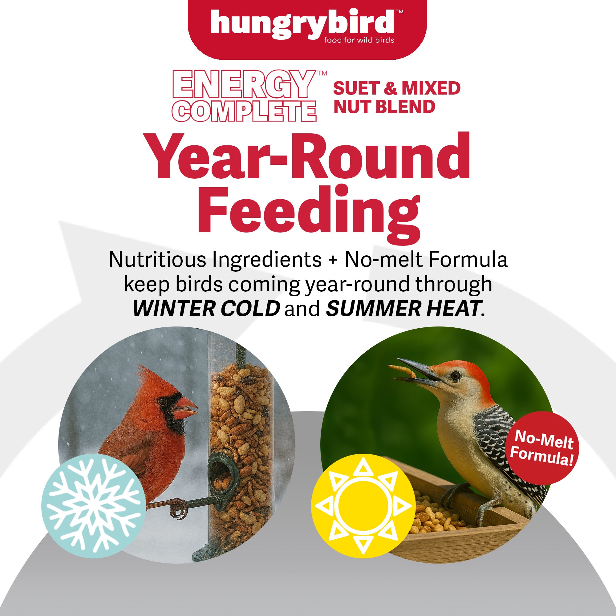 Hungrybird Energy Complete Diet, 7lb - All-Season Mealworm Suet & Mixed Nuts