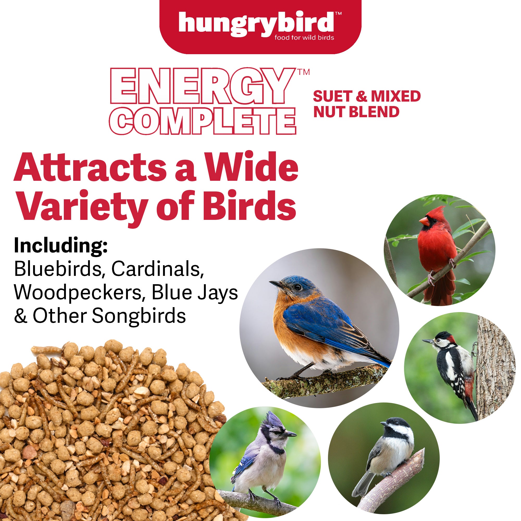 Hungrybird Energy Complete Diet, 7lb - All-Season Mealworm Suet & Mixed Nuts