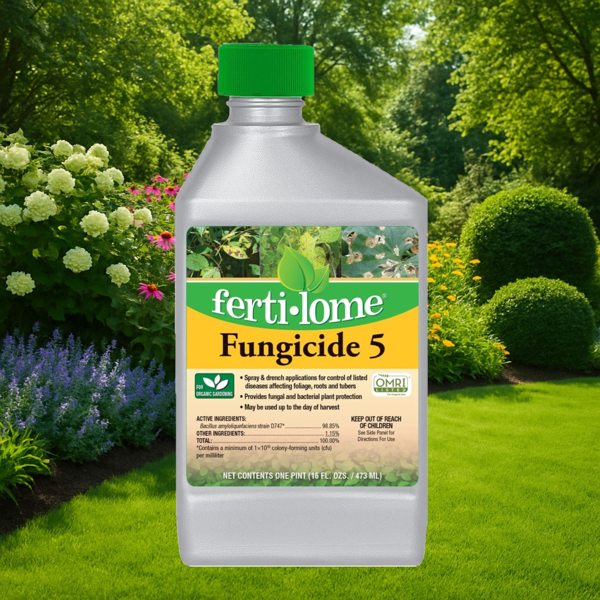 Fertilome Fungicide 5 Biofungicide/Bactericide Concentrate, 16 fl oz