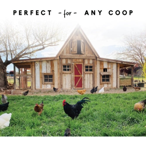 Harris Farms Free Range Galvanized Steel Double Wall Poultry Drinker, 2 Gallons