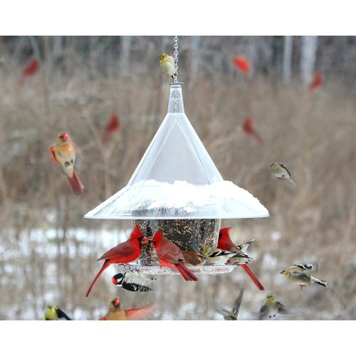 Arundale Sky Cafe Wild Bird Feeder — Clear Squirrel-Proof Dome, Large Seed Capacity, 17" D