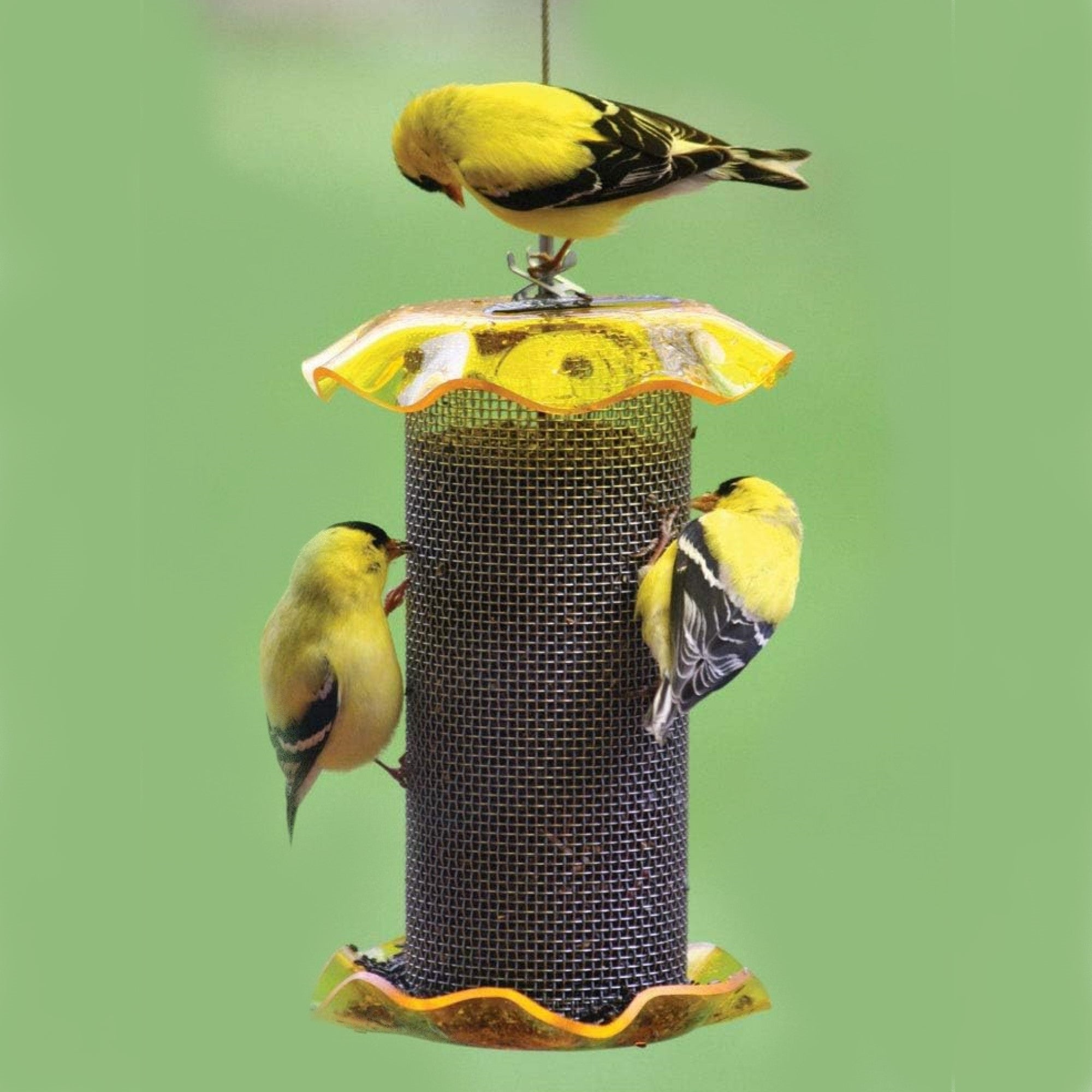Birds Choice Forever Feeder Mesh Nyjer Wild Bird Feeder, Yellow, 1 Quart