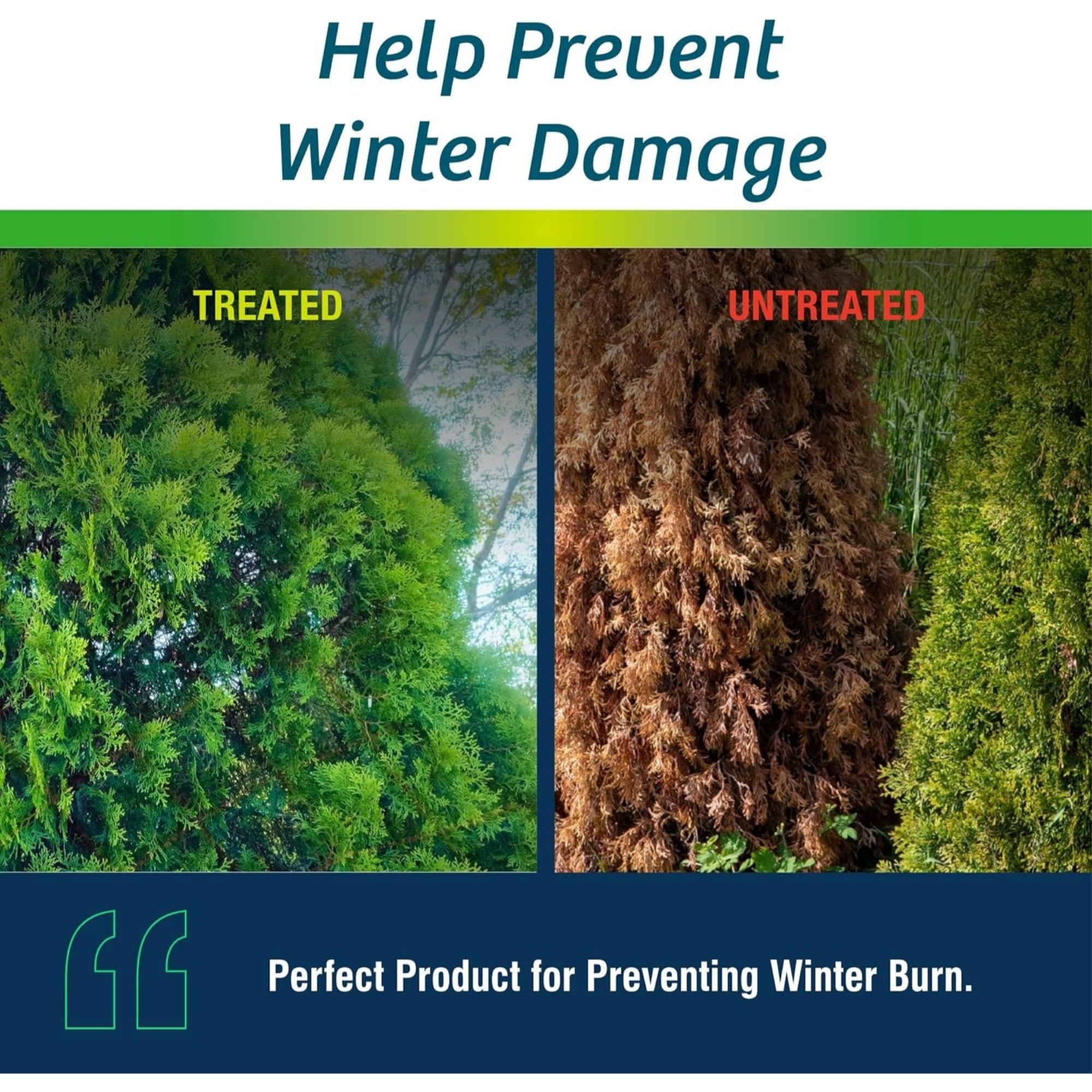 Wilt-Pruf Organic Moisture-Locking Anti-Transpirant Concentrate, 5 Gallons