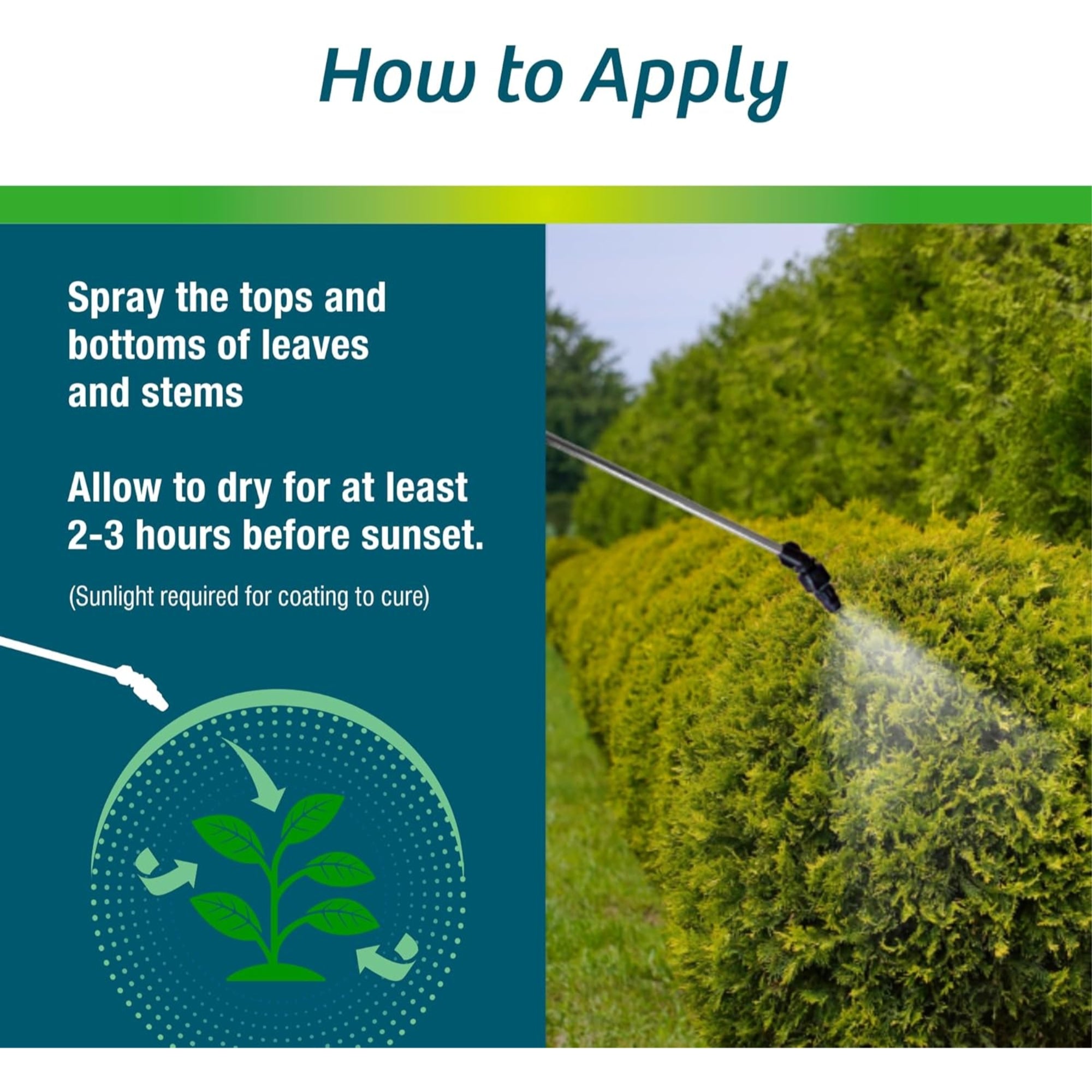 Wilt-Pruf Organic Moisture-Locking Anti-Transpirant Concentrate, 1 Gallon