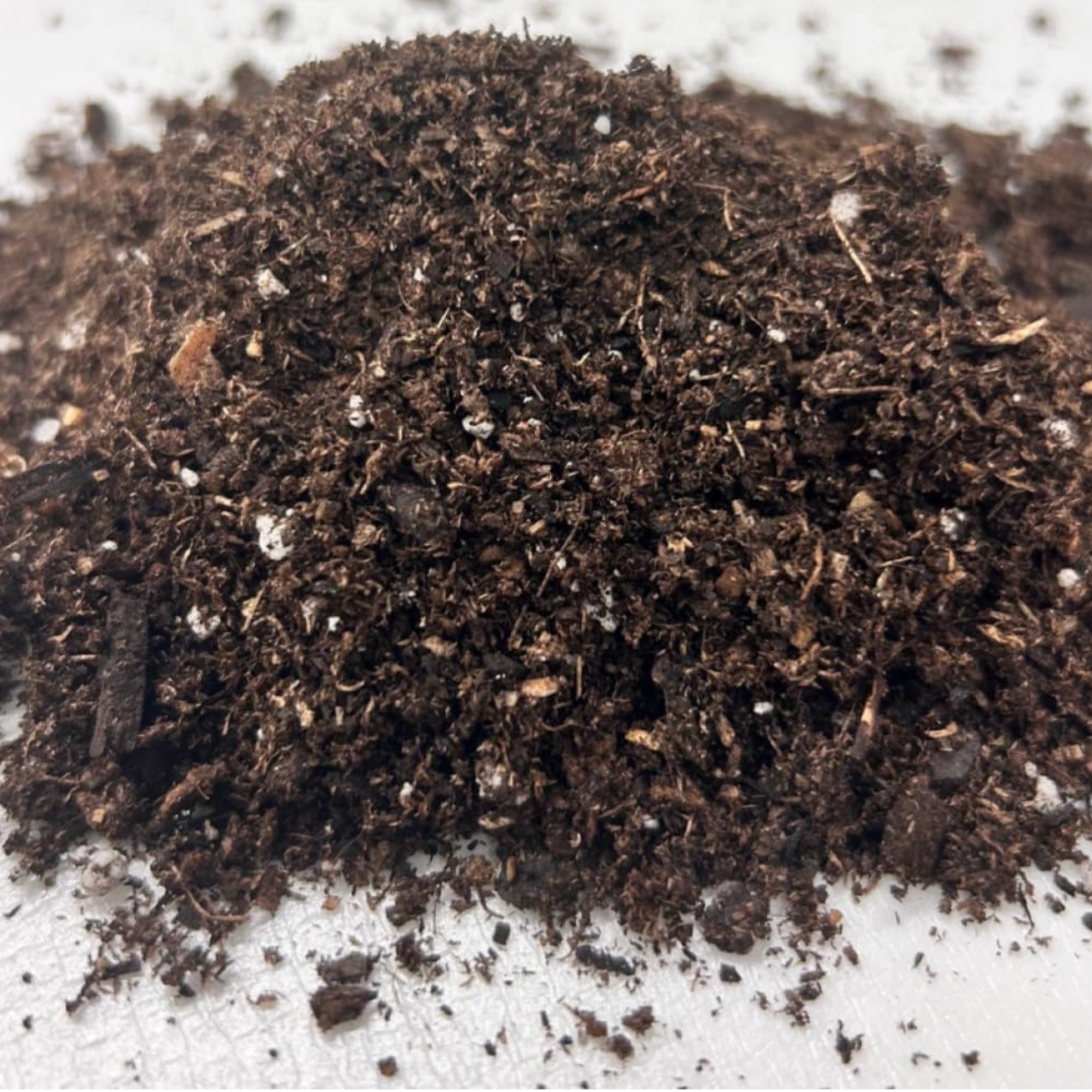 Black Gold All Purpose Potting Soil Mix with RESiLIENCE Fertilizer