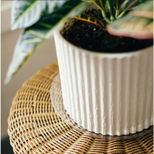 Curtis Wagner Plastics Clear Designer Series Heavy Plant Saucers, Footed — 8”