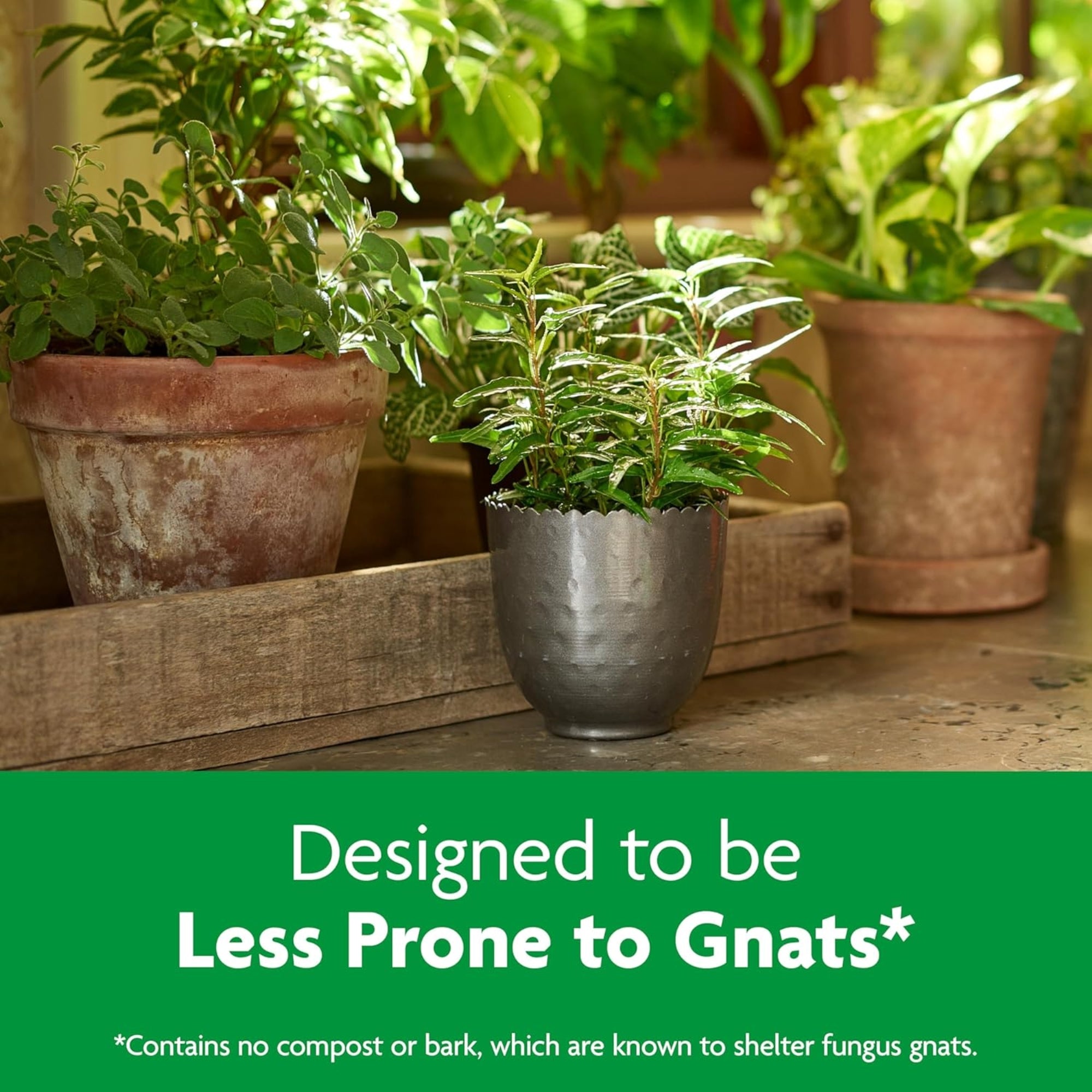 Miracle-Gro Indoor Potting Mix with Coconut Coir for Containers, 6 dry quarts