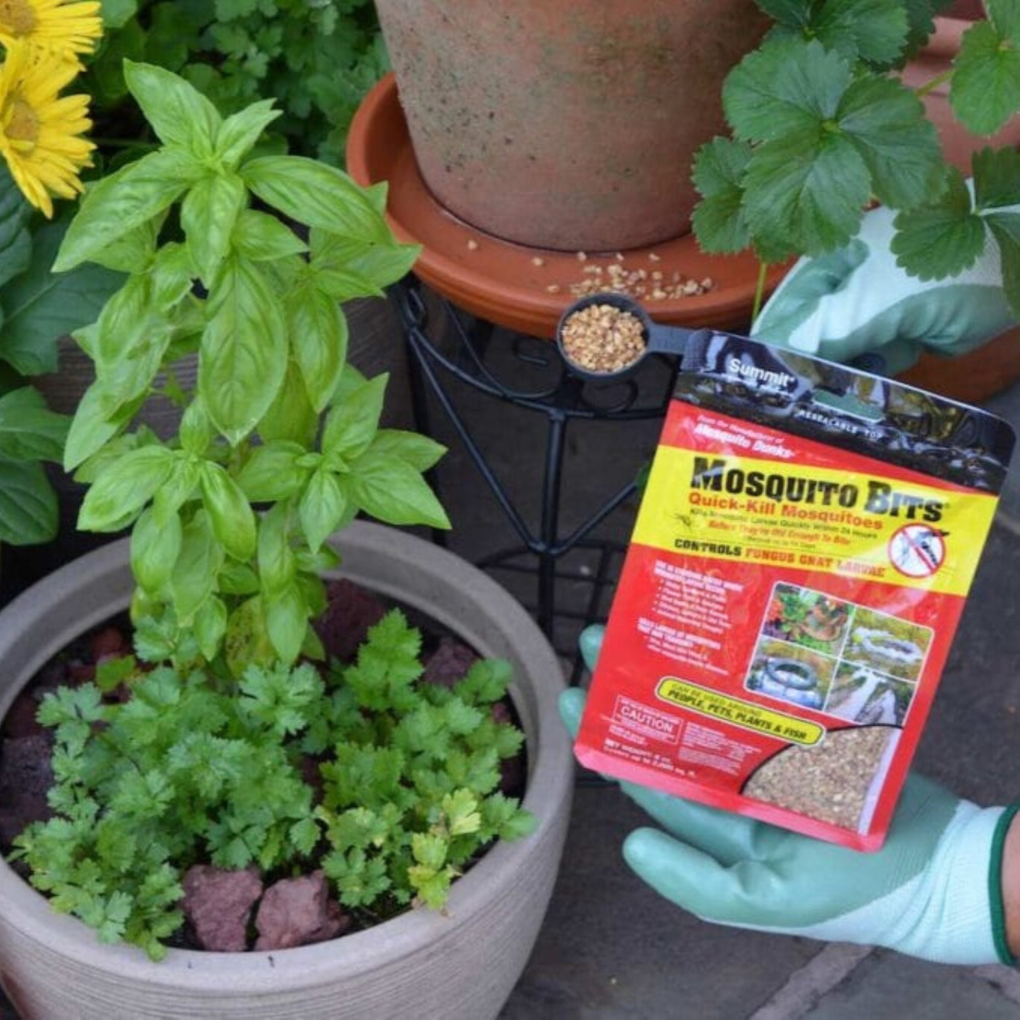 Summit Mosquito Bits Insecticide, 8oz – Controls Mosquitoes & Fungus Gnat Larvae