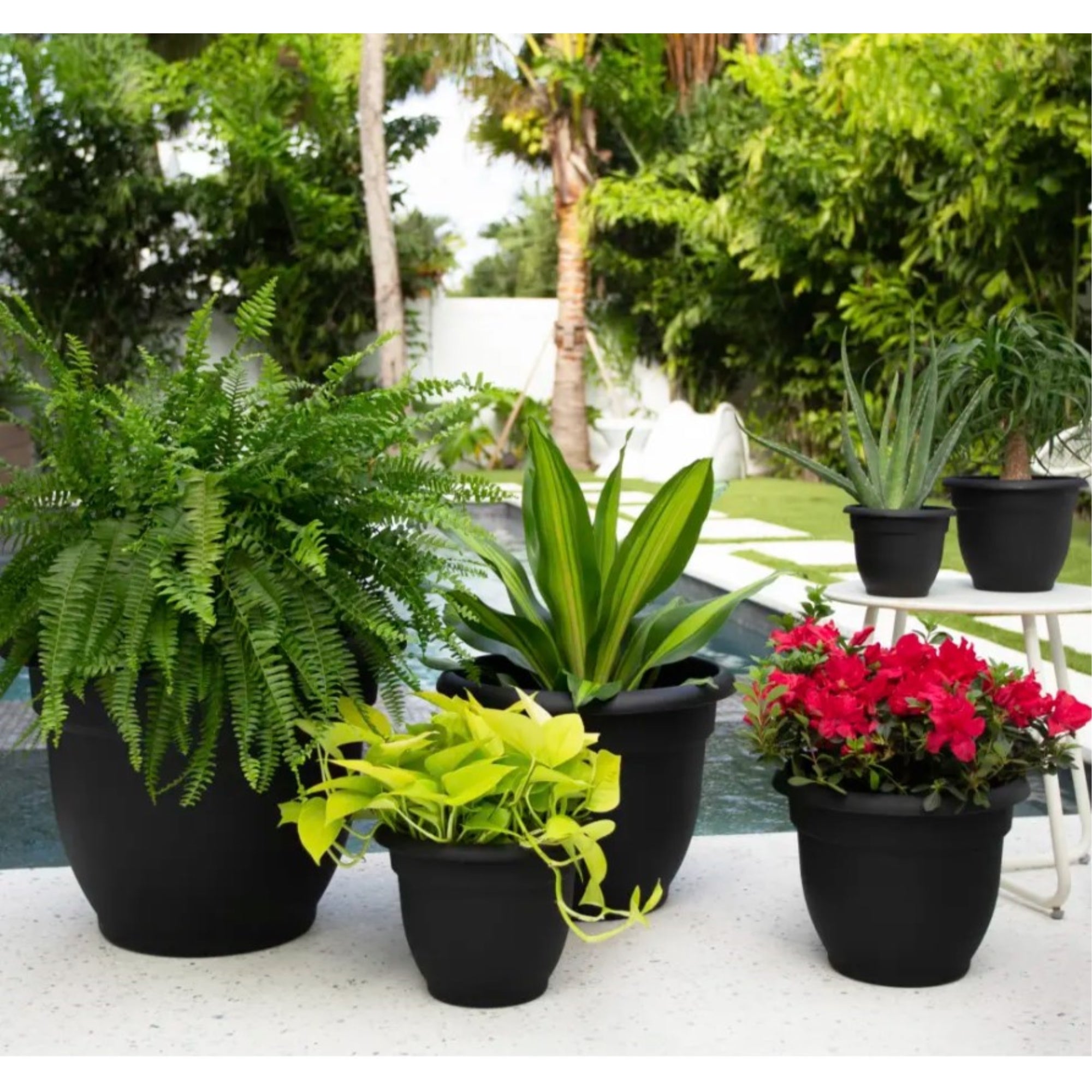 Bloem Ariana Plastic Flower Planter with Self-Watering Disk