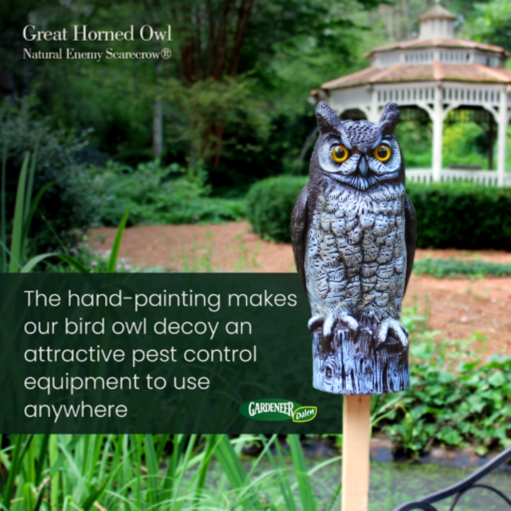 Dalen Great Horned Owl Decoy Pest Deterrent, 16” – Humane and Lifelike