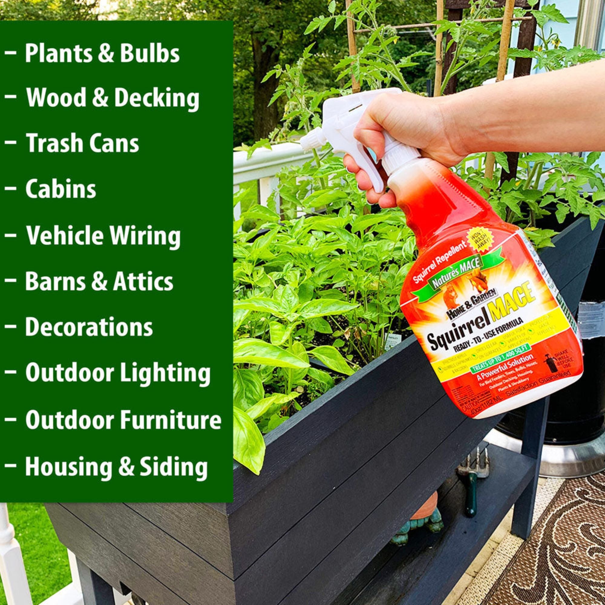 Natures MACE Squirrel Repellent Concentrate, 1 gallon - Treats 87,000 Sq. Ft