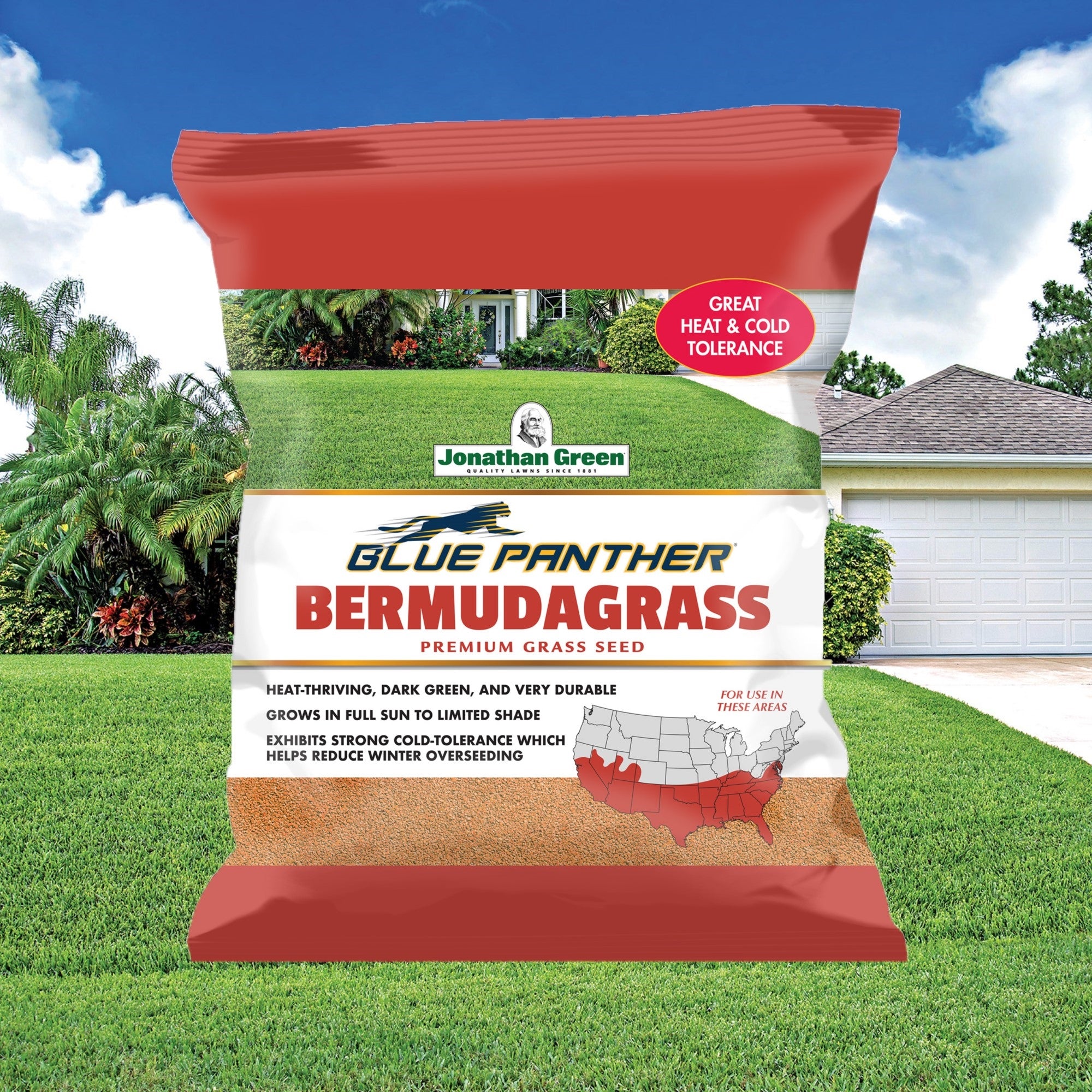 Jonathan Green Blue Panther Bermudagrass Premium Grass Seed