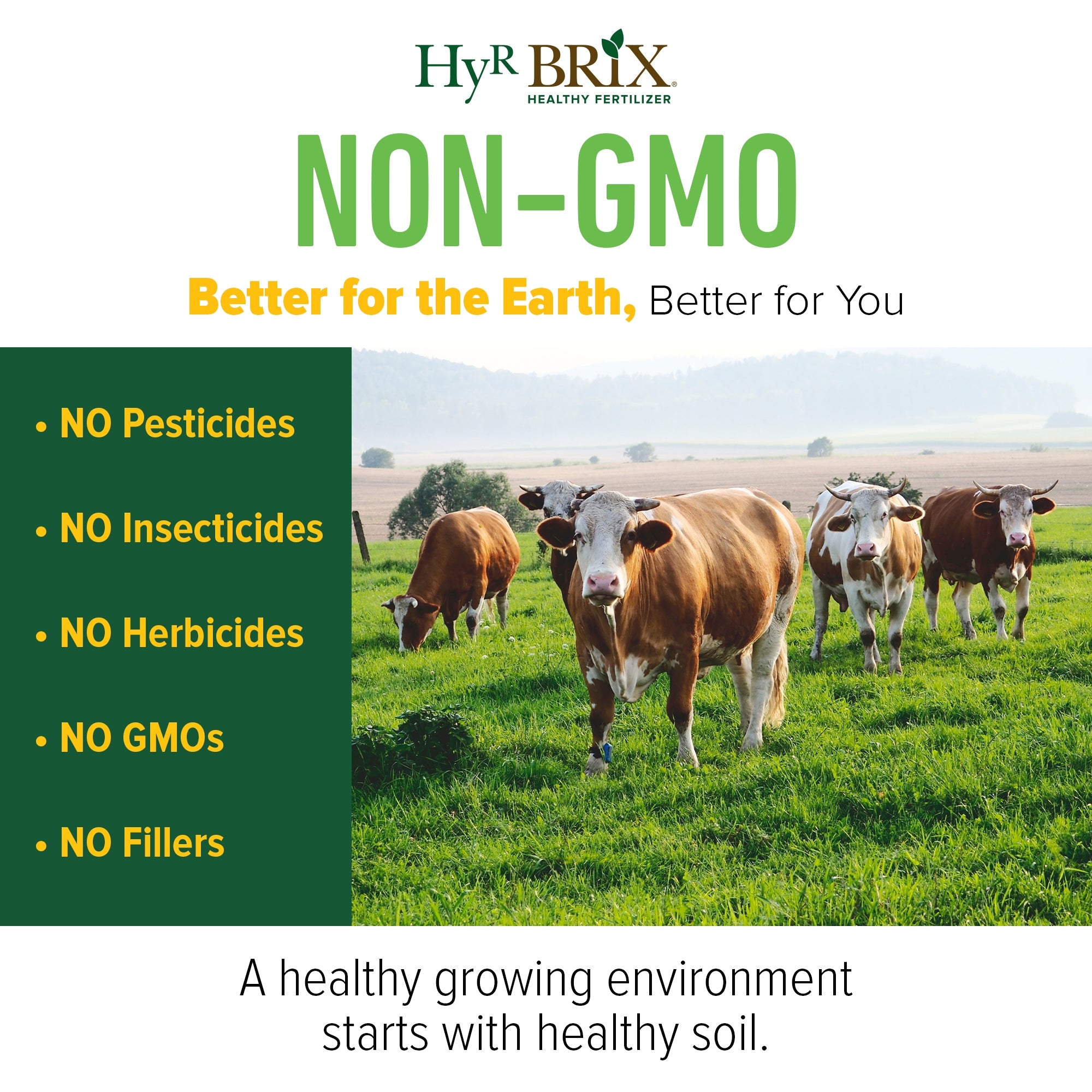 HyR BRIX 12-6-5 Pasture Fertilizer, 45lb Bag (Covers 4,000 Sq Ft)