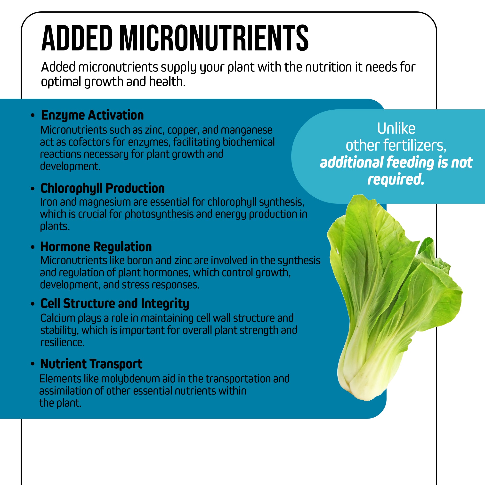 Jack’s Nutrients 6-6-26 Low Phos Part A Water-Soluble Fertilizer