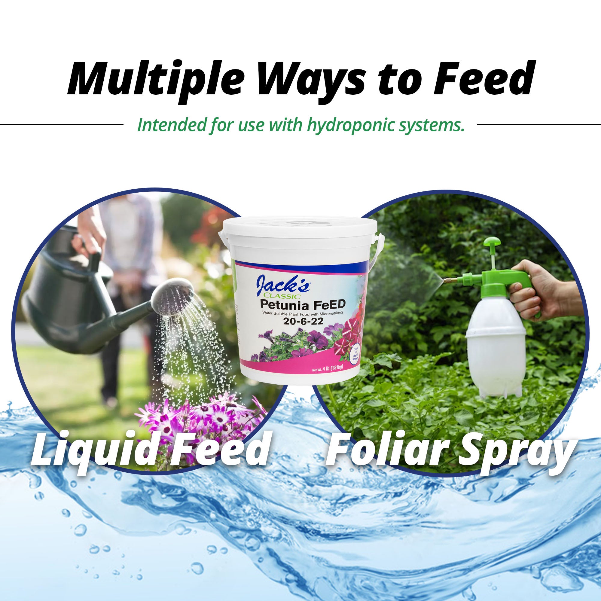 Jack's Classic 20-6-22 Petunia FeED Water-Soluble Fertilizer