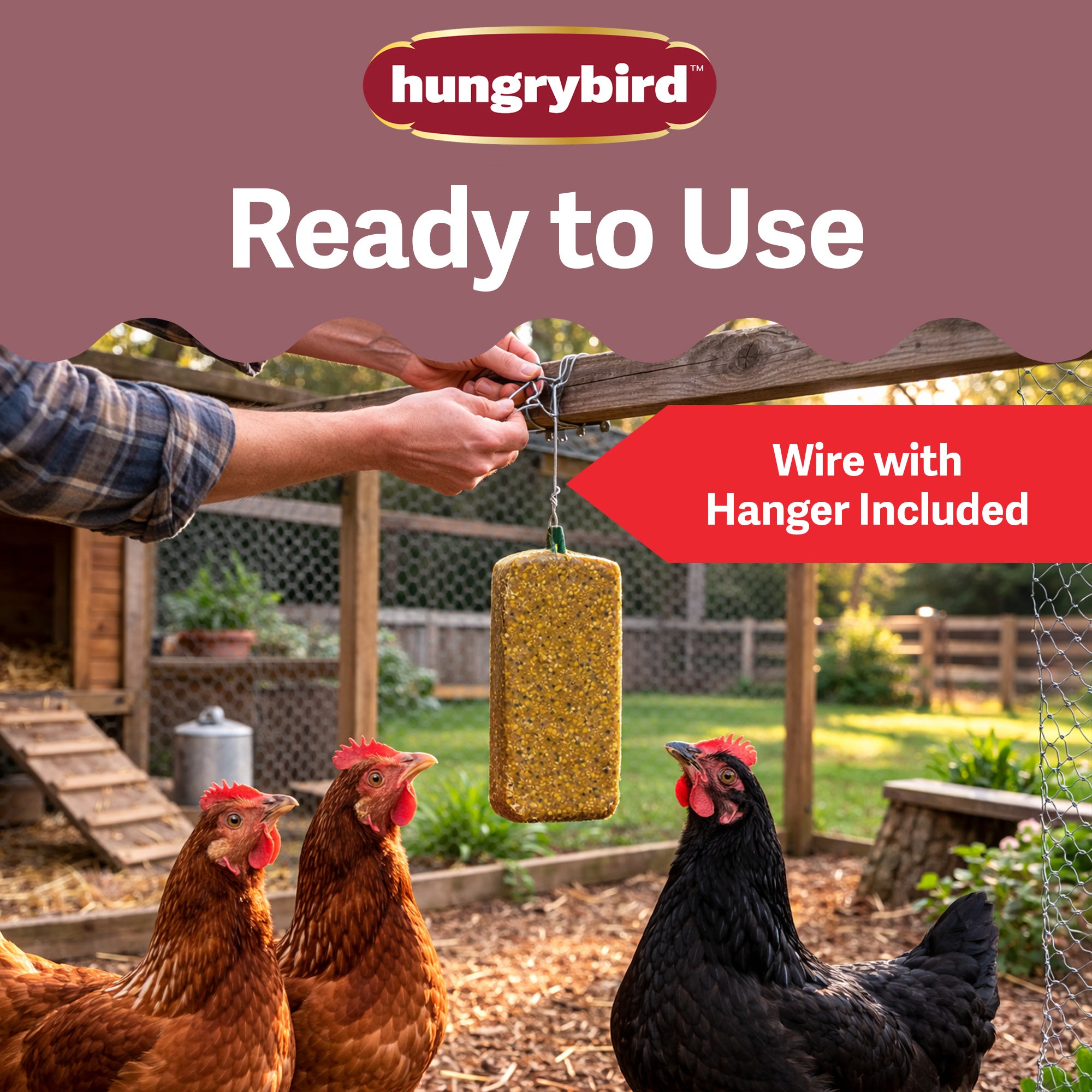 Hungrybird Cackleberry Suet Cake Treat, 15oz – All-Natural Poultry Snack