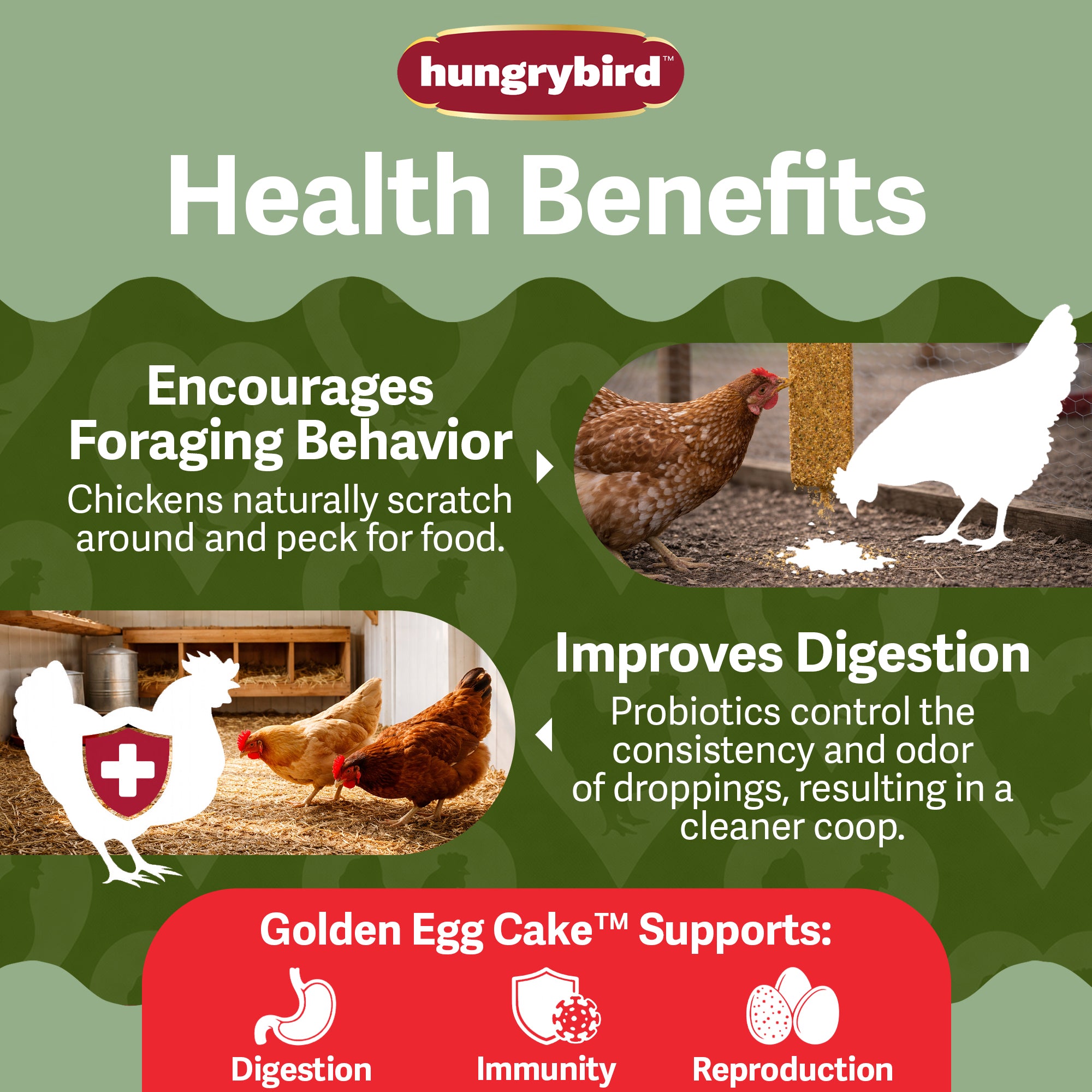 Hungrybird Golden Egg Suet Cake Treat, 15oz – All-Natural Poultry Snack