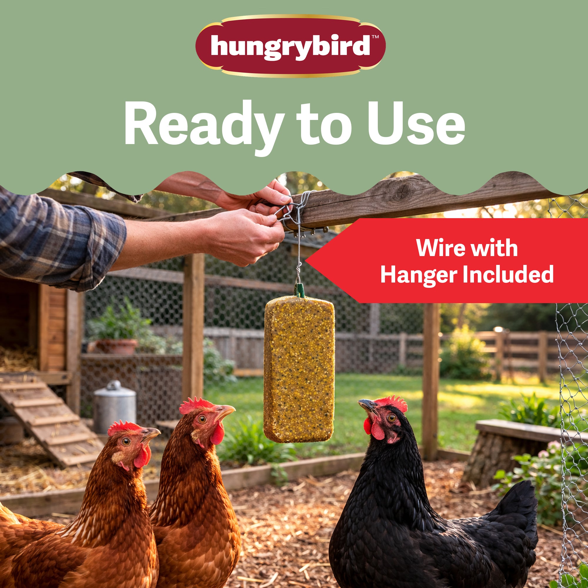 Hungrybird Golden Egg Suet Cake Treat, 15oz – All-Natural Poultry Snack