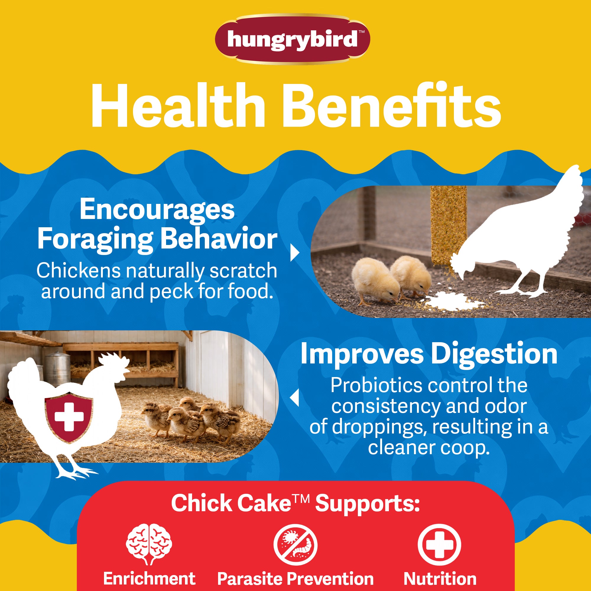 Hungrybird Chick Suet Cake Treat, 15 oz – All-Natural Poultry Snack