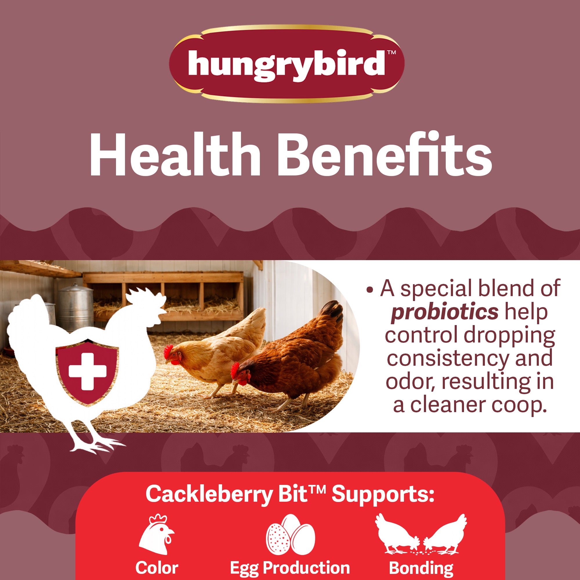 Hungrybird Crackleberry Bits, 1.75lbs – All-Natural Suet Poultry Treats