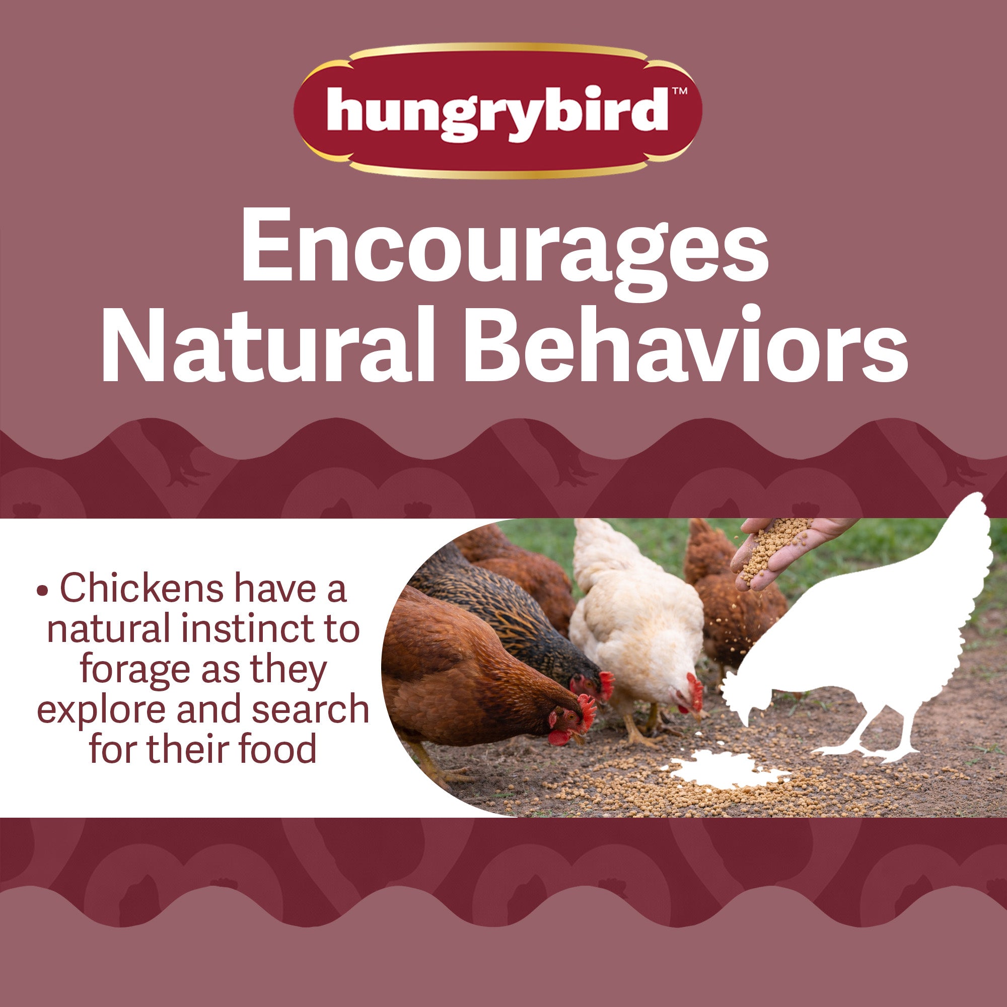 Hungrybird Crackleberry Bits, 1.75lbs – All-Natural Suet Poultry Treats