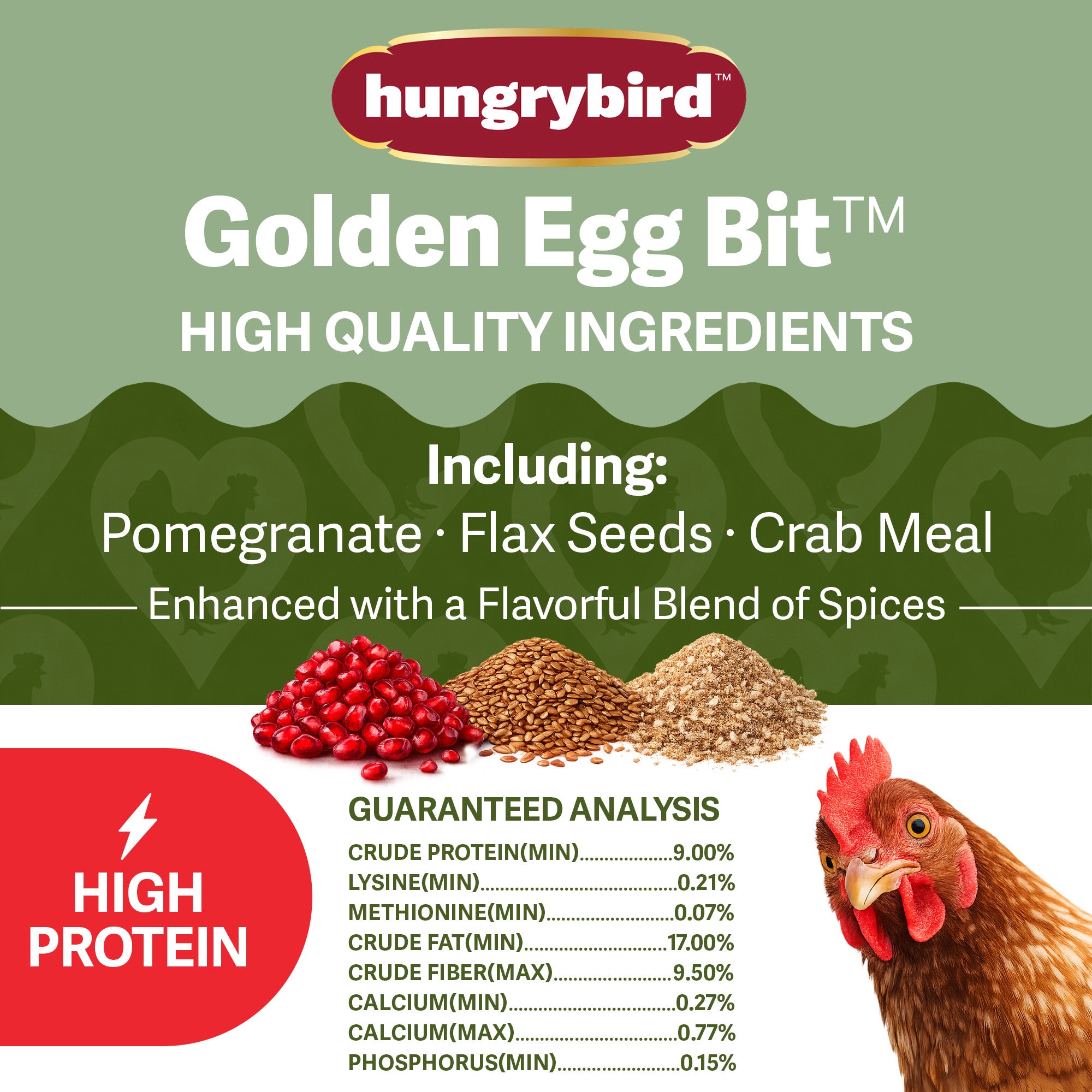Hungrybird Golden Egg Bits, 1.75lbs – All-Natural Suet Poultry Treats