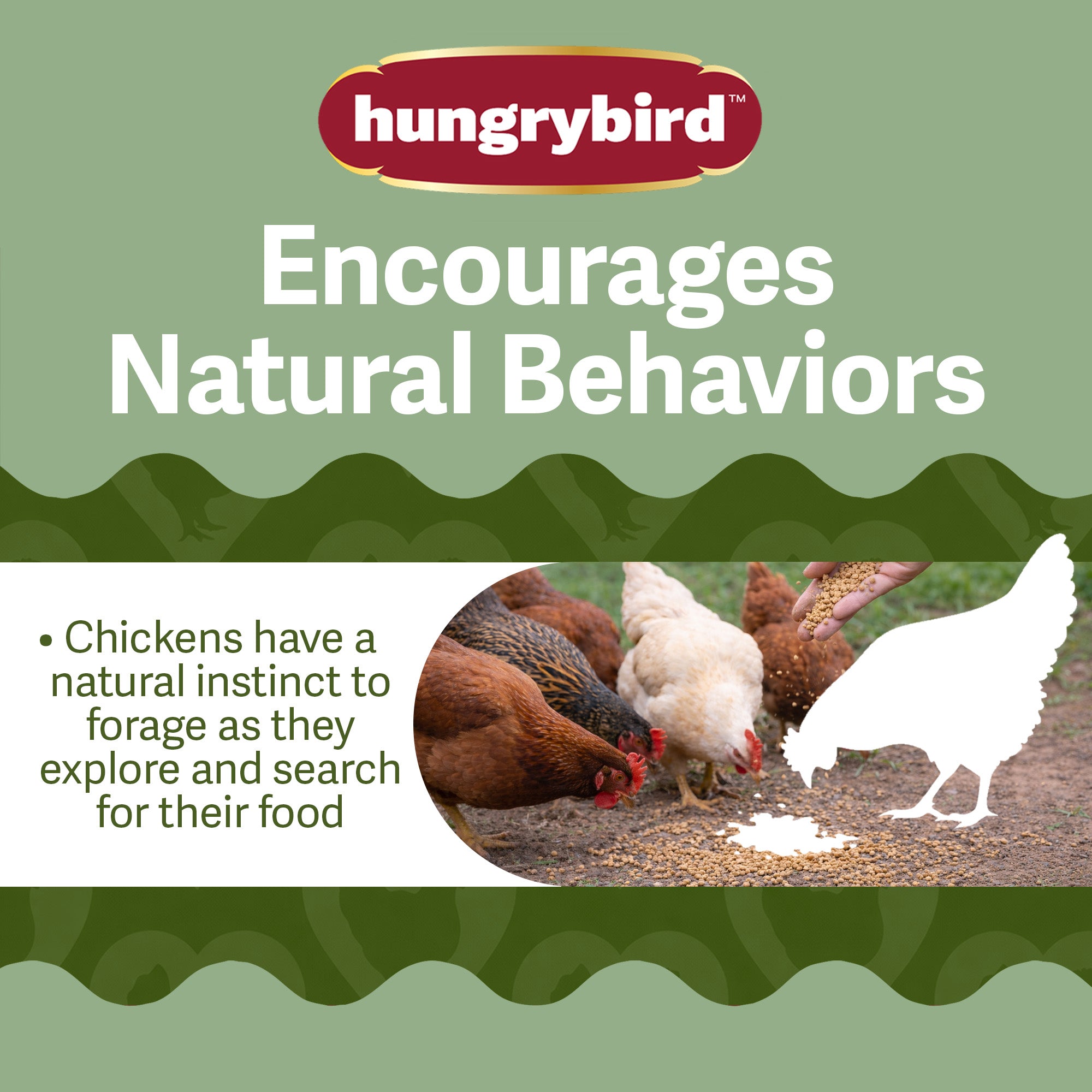 Hungrybird Golden Egg Bits, 1.75lbs – All-Natural Suet Poultry Treats