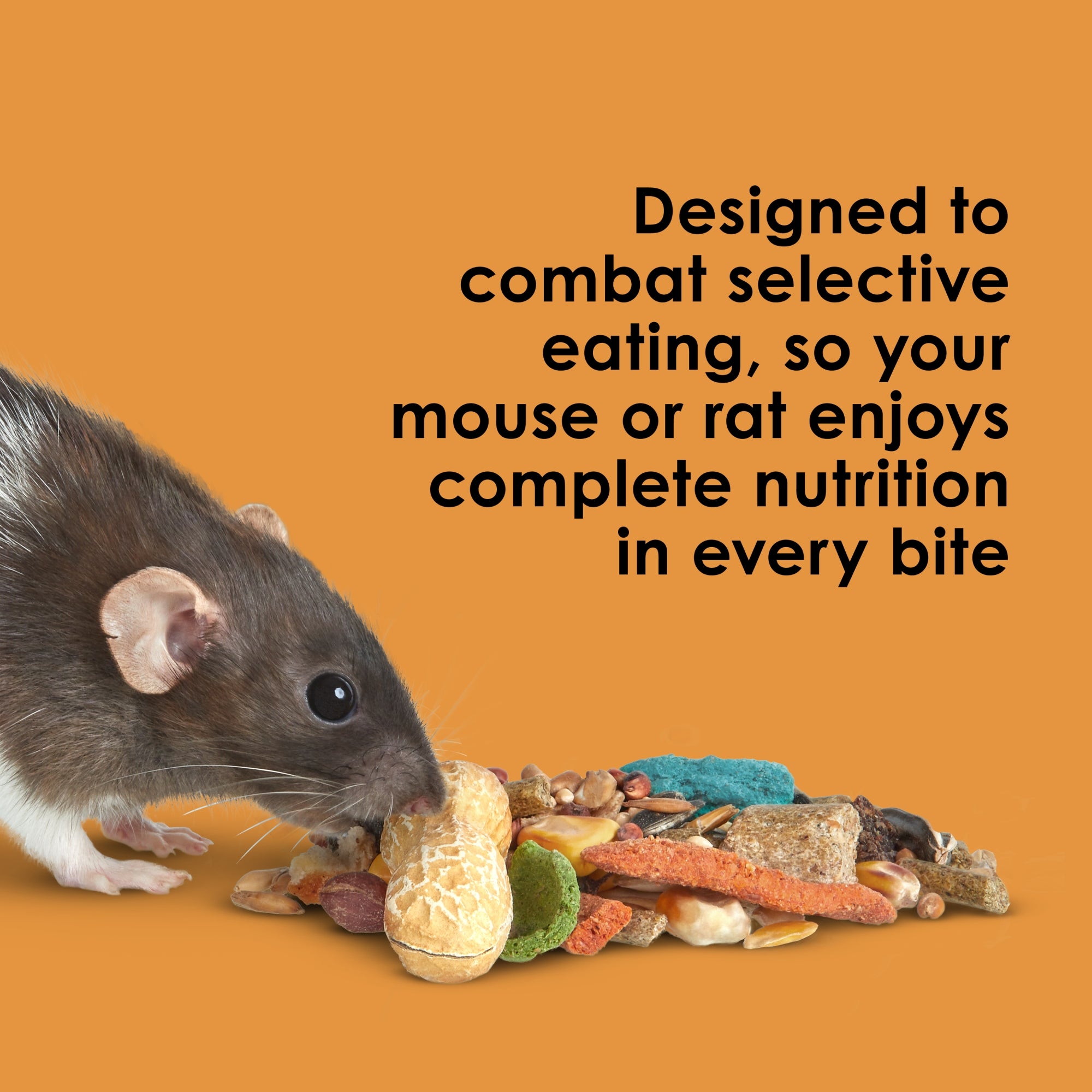Kaytee Fiesta Mouse and Rat Food, 15lbs – Supports Immune Health and Digestion
