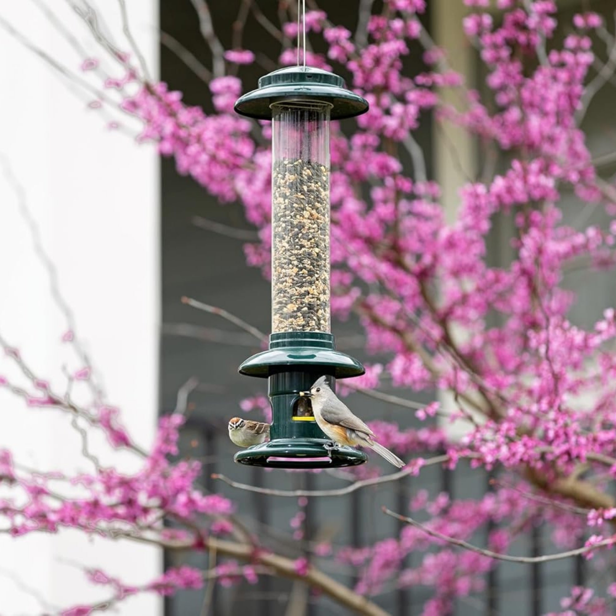 Brome Squirrel Buster Evolution Bird Feeder with Double Cardinal Ring