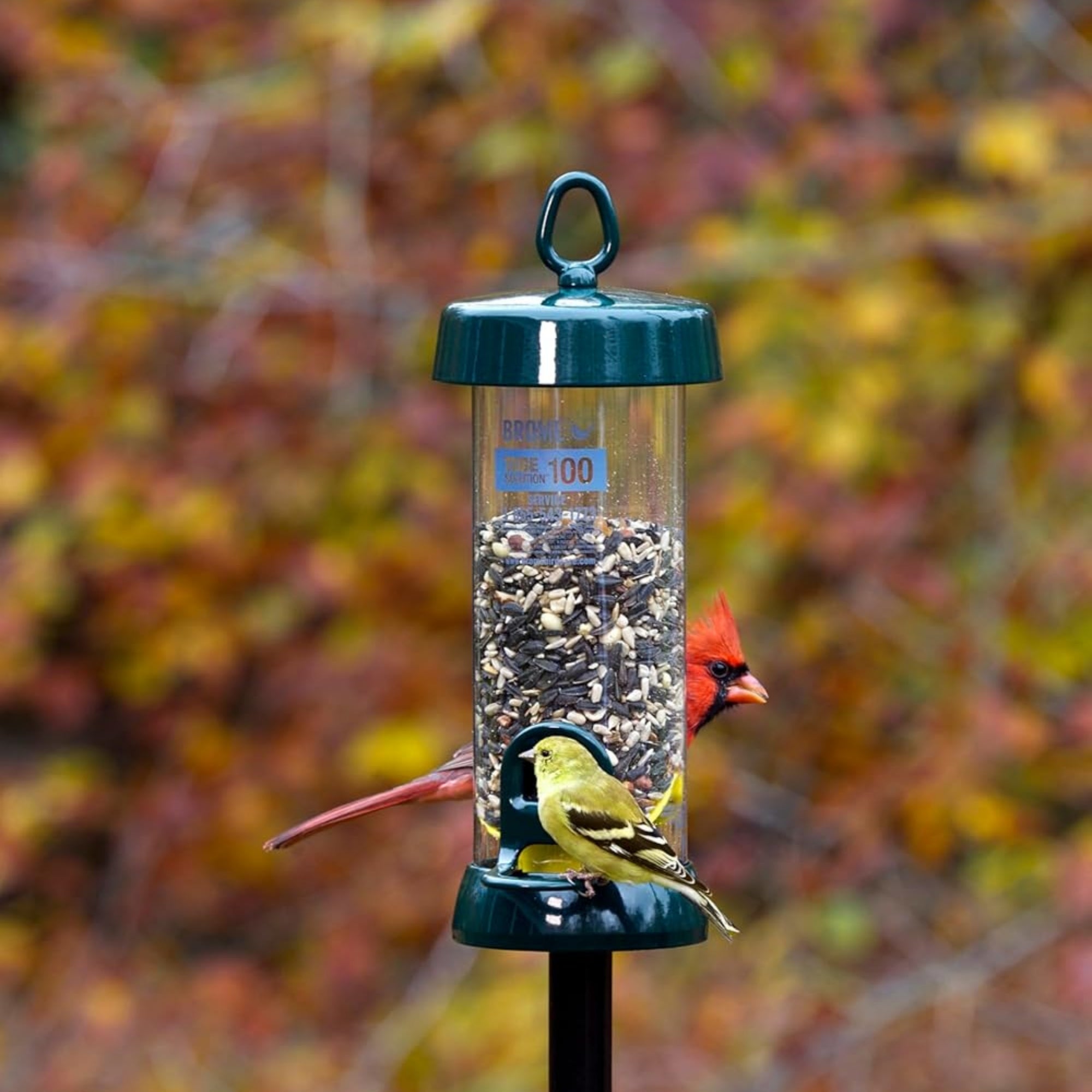 Brome Tube Solution 100 Backyard Bird Feeder, 1.7lb Capacity, 2 Feeding Ports