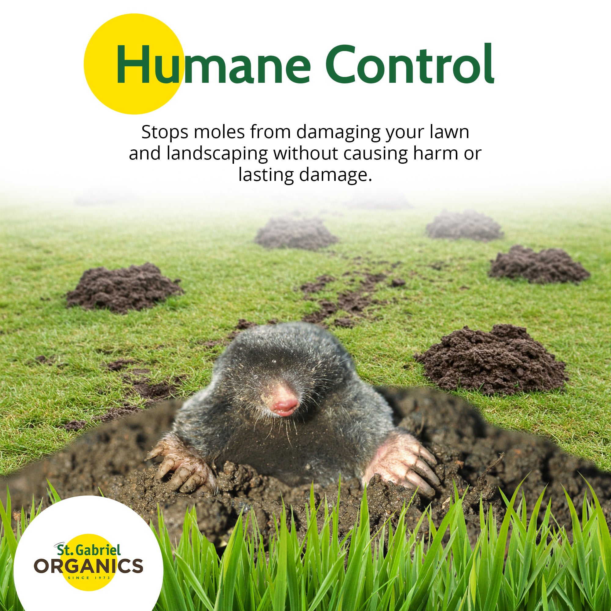 St. Gabriel Organics Holy Moley No More Moles Backyard Repellent, 10lbs