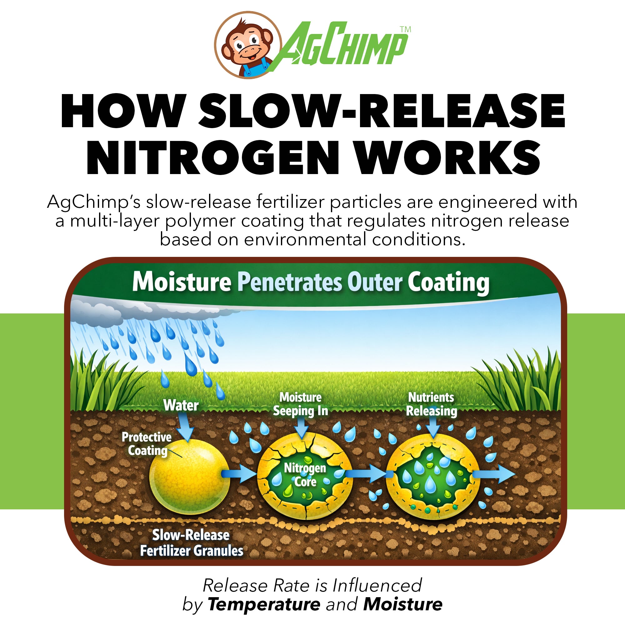 AgChimp 24-0-11 Professional Lawn Maintenance Fertilizer, 16lbs, 5,000 sq ft
