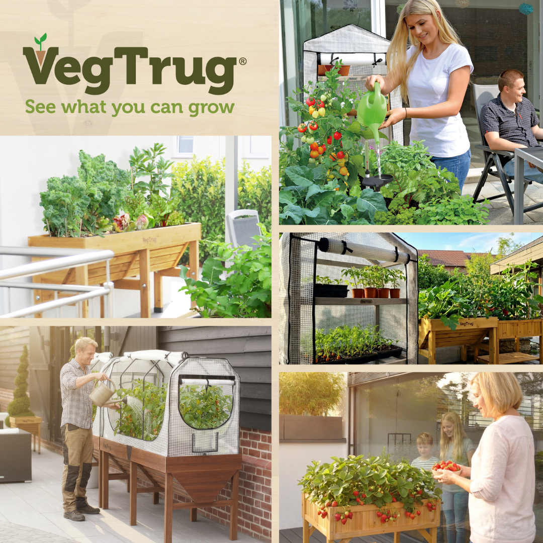 VegTrug Classic Raised Bed Uncoated Red Cedar Wood Planter, Natural, Small 1m - Made in USA