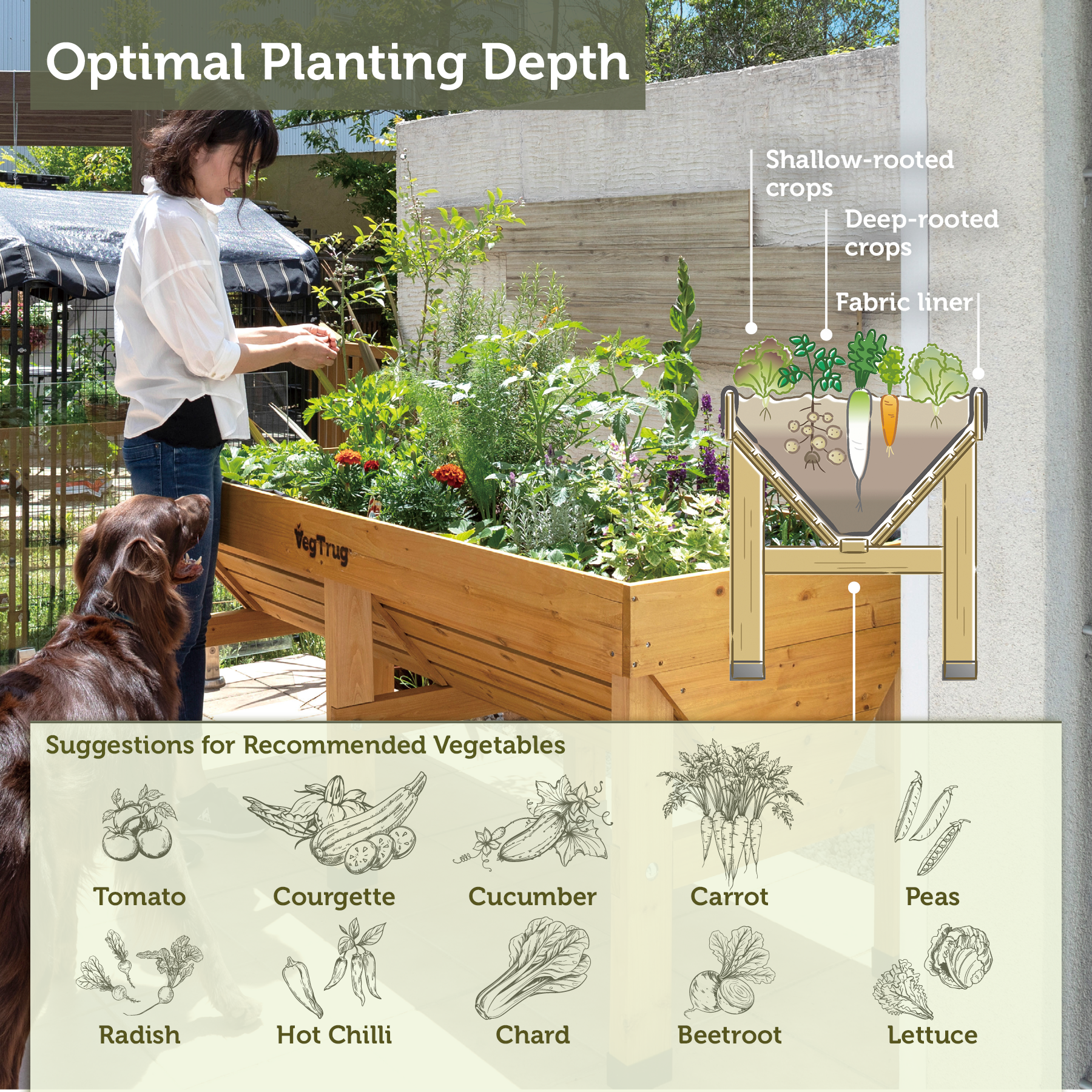 VegTrug Classic Raised Bed Cedar Wood Planter, Natural, Medium 1.8m