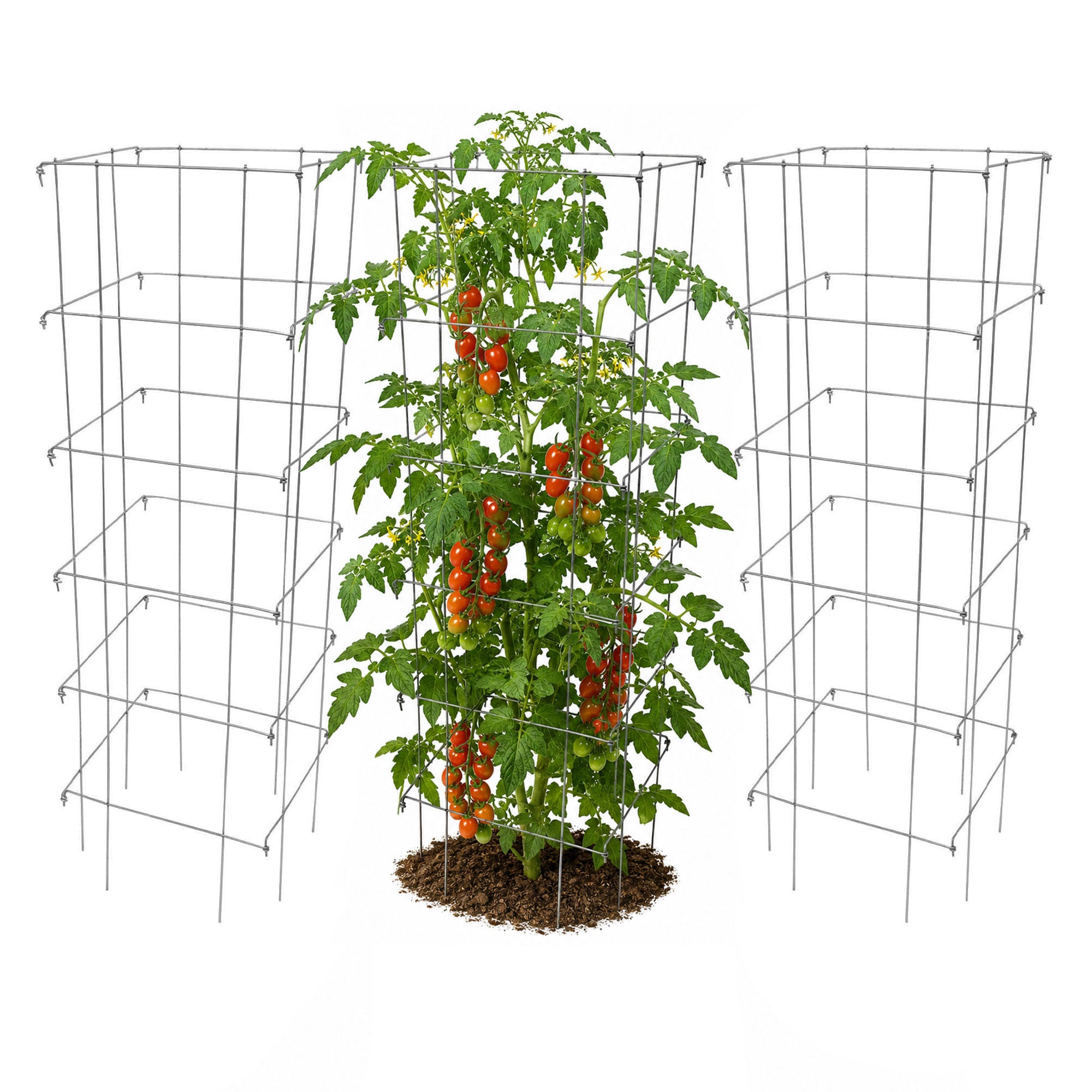 Garden Elements Square 8-Leg Heavy-Duty Collapsible Tomato Cages, 48in (Pack of 3)