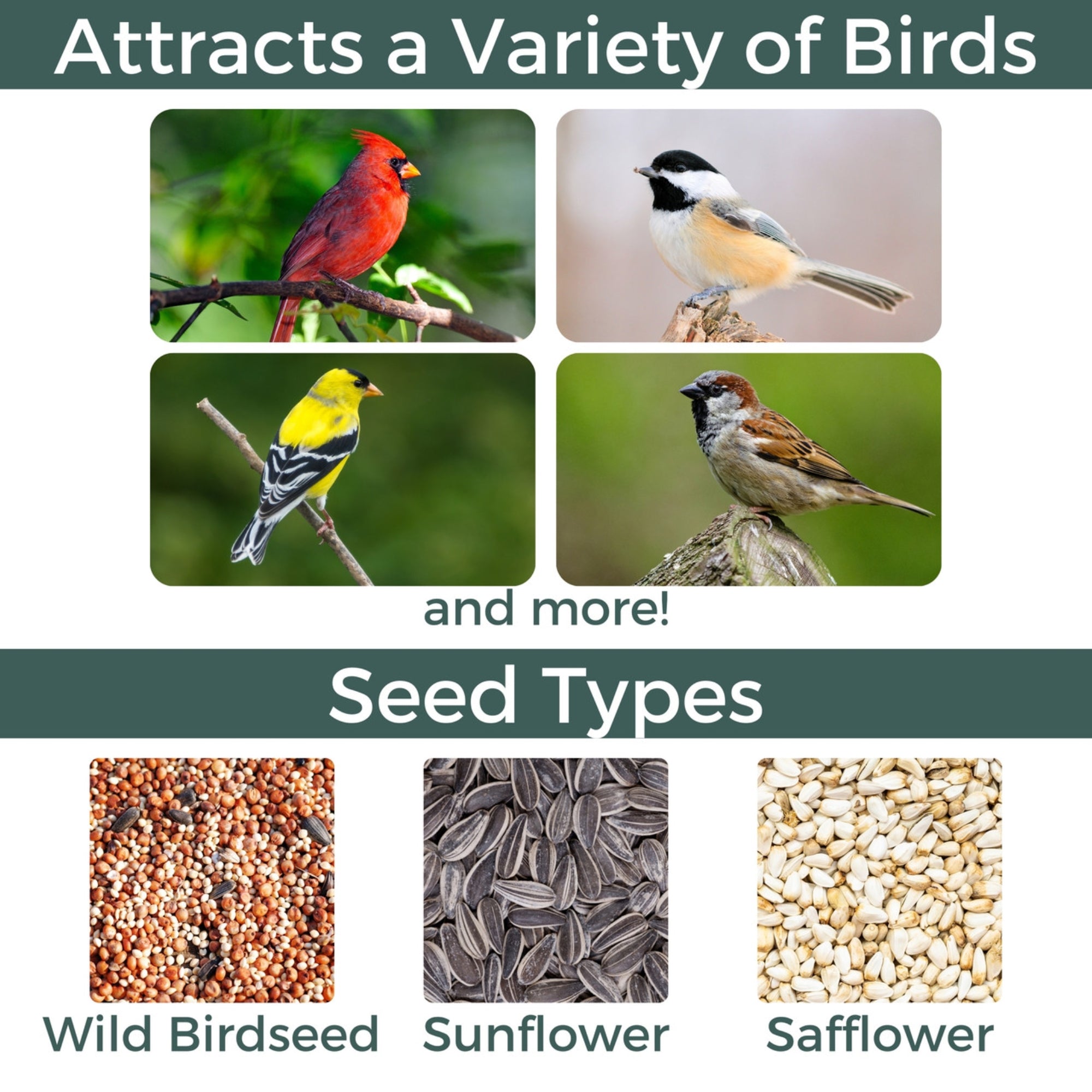 North States Village Collection Church Birdfeeder, 5lb Seed Capacity